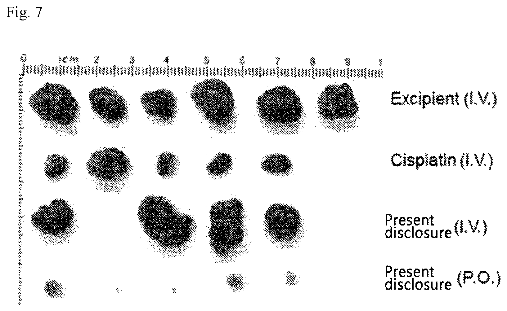 Patent US12551468 Figure 7 – Pharmaceutical composition for oral administration, for treatment of liver cancer