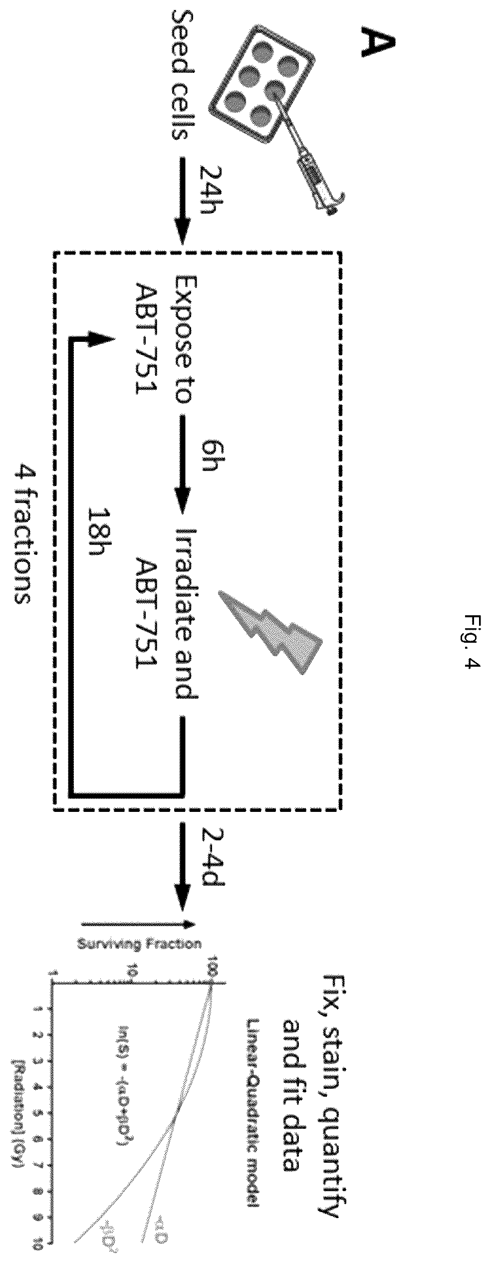 Patent US12551471 Figure 5 – ABT-751 and ionizing radiation