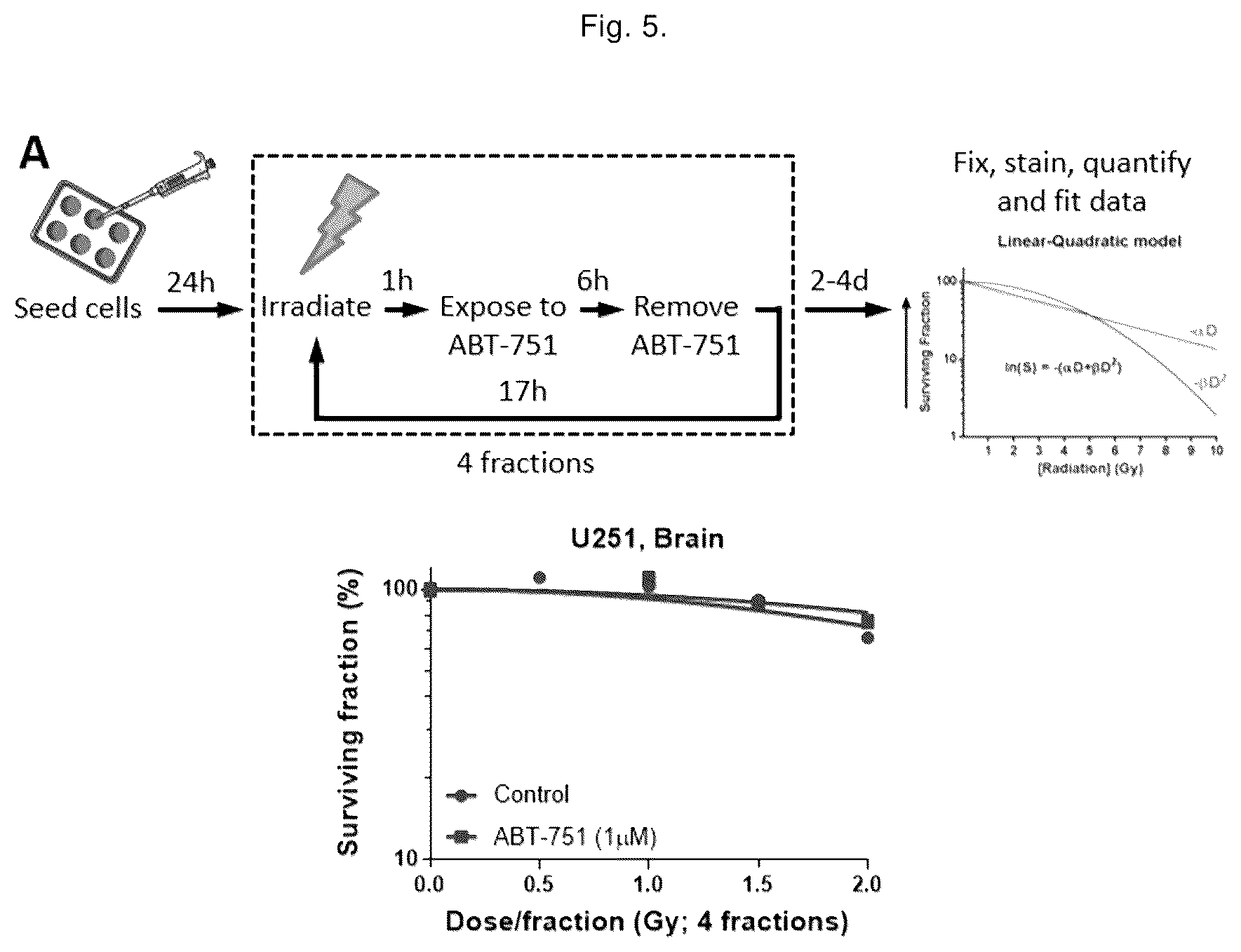 Patent US12551471 Figure 7 – ABT-751 and ionizing radiation