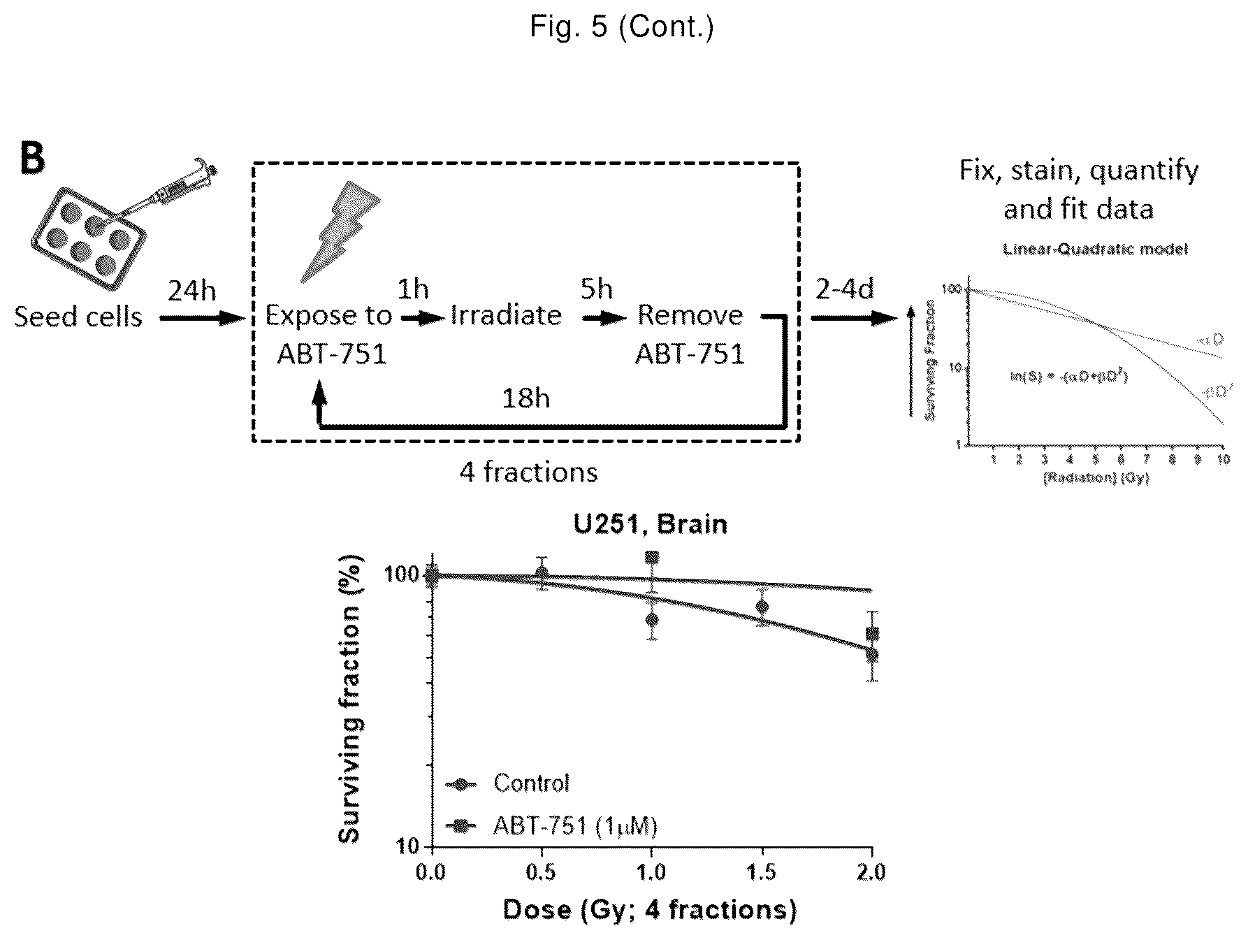 Patent US12551471 Figure 8 – ABT-751 and ionizing radiation