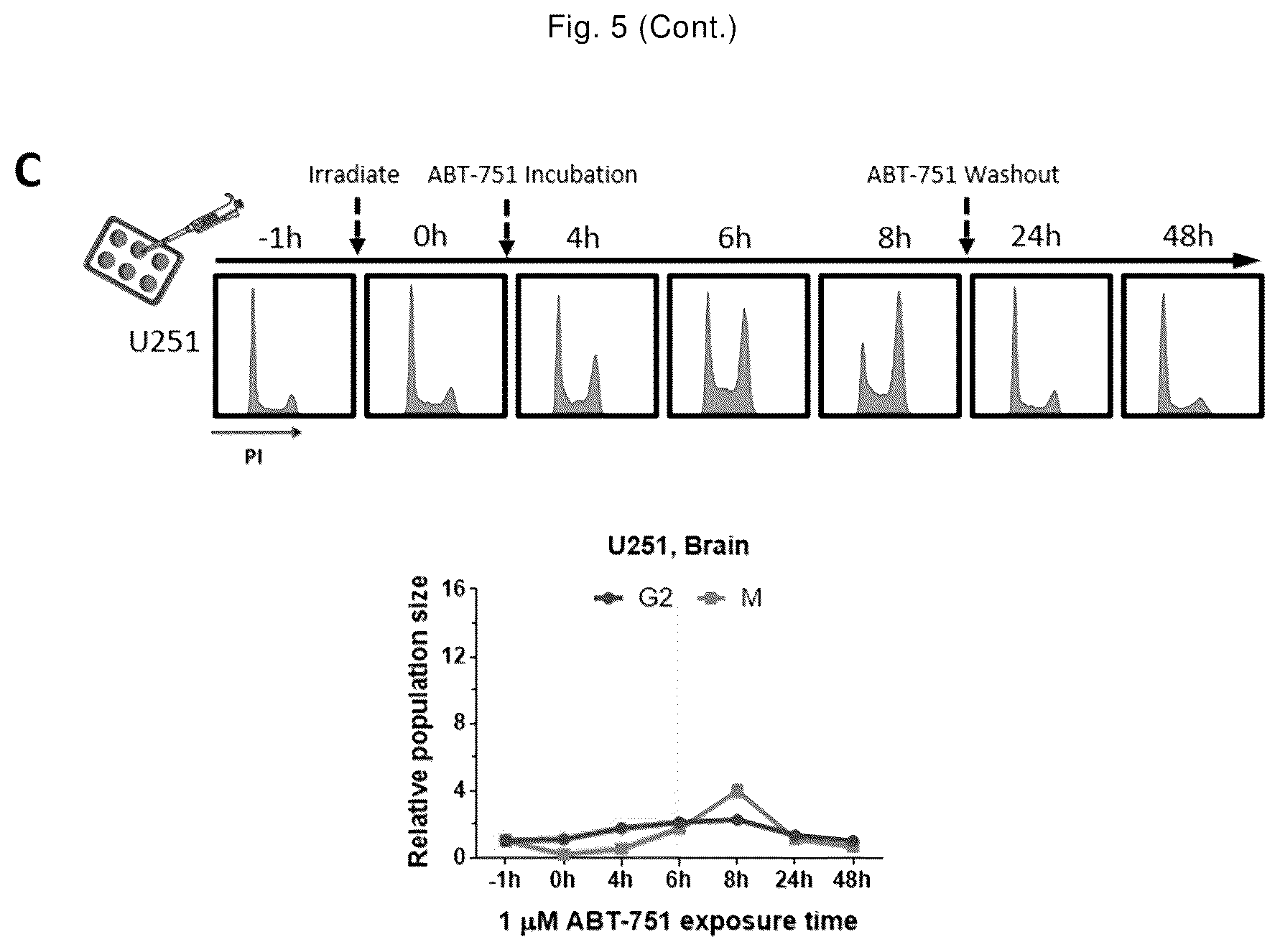 Patent US12551471 Figure 9 – ABT-751 and ionizing radiation