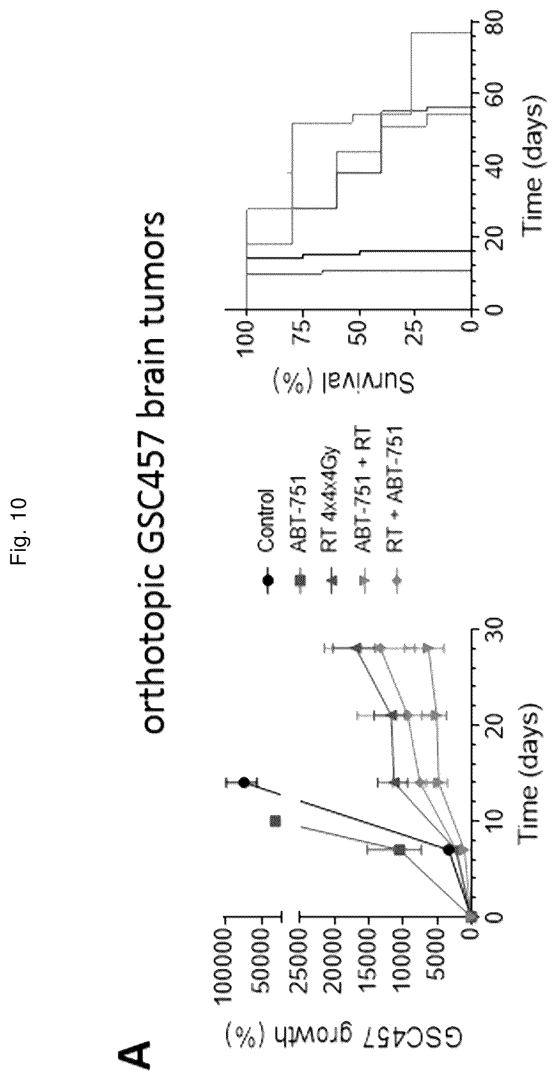 Patent US12551471 Figure 16 – ABT-751 and ionizing radiation