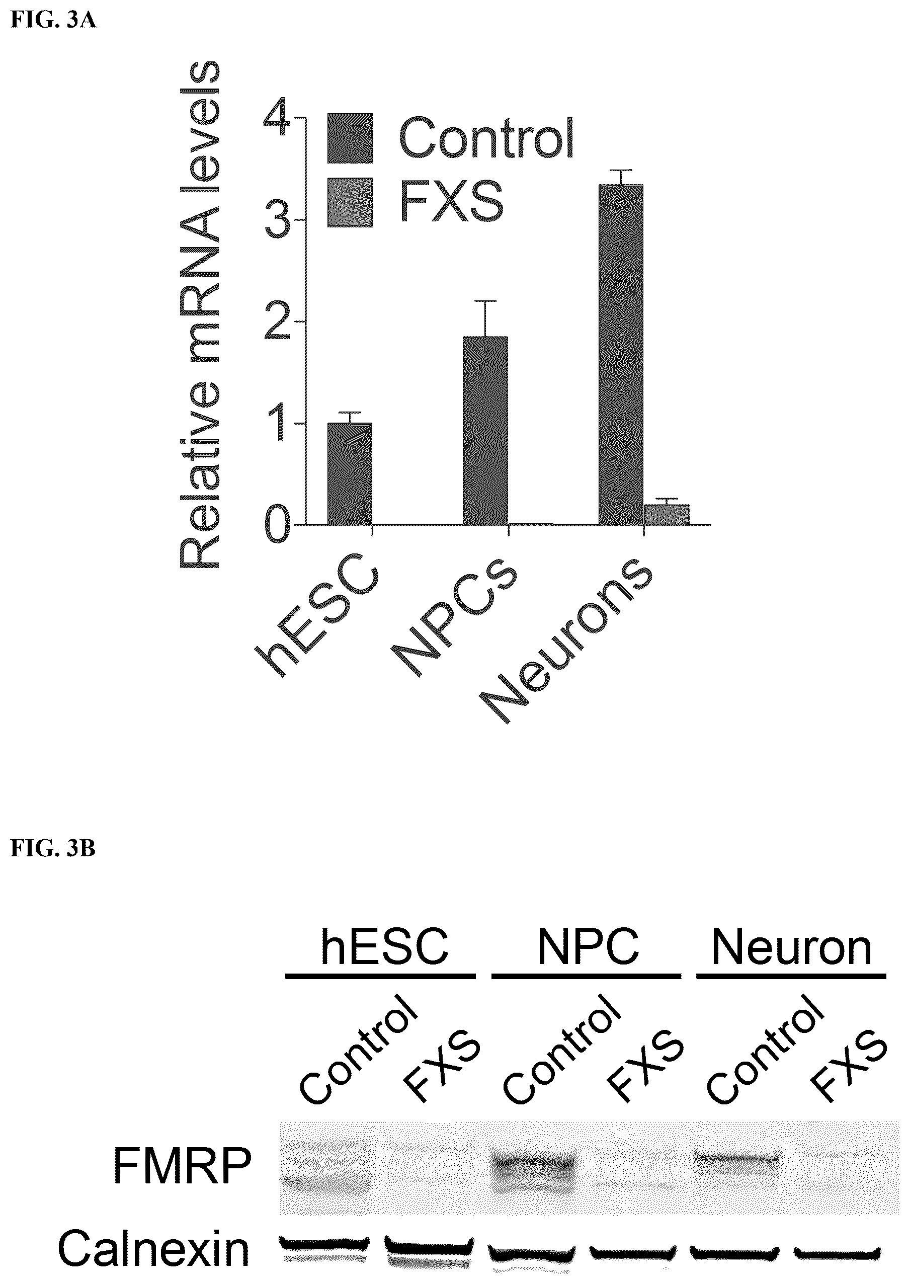 Patent US12551474 Figure 4 – Use of pridopidine for the treatment of fragile X syndrome
