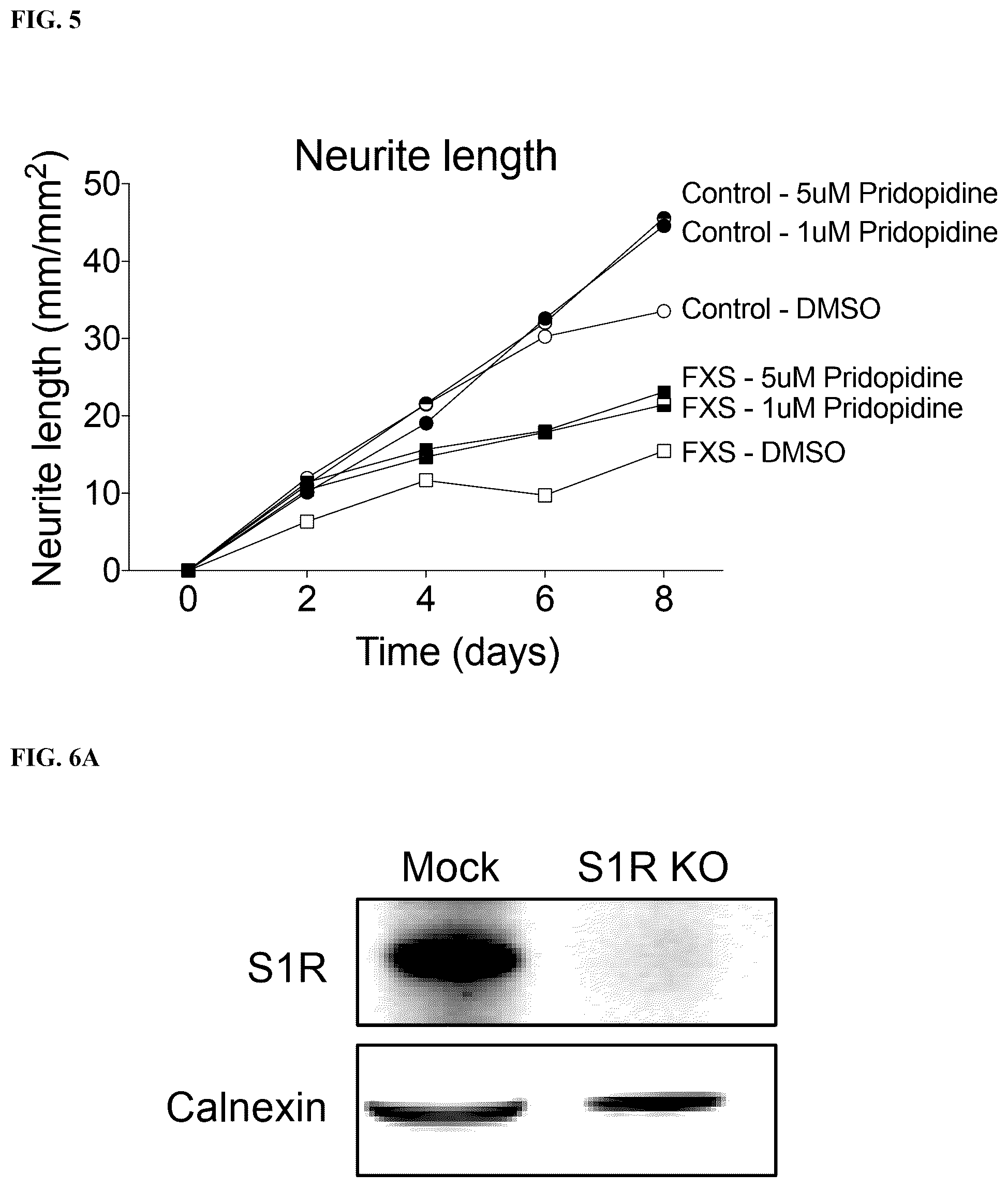 Patent US12551474 Figure 7 – Use of pridopidine for the treatment of fragile X syndrome