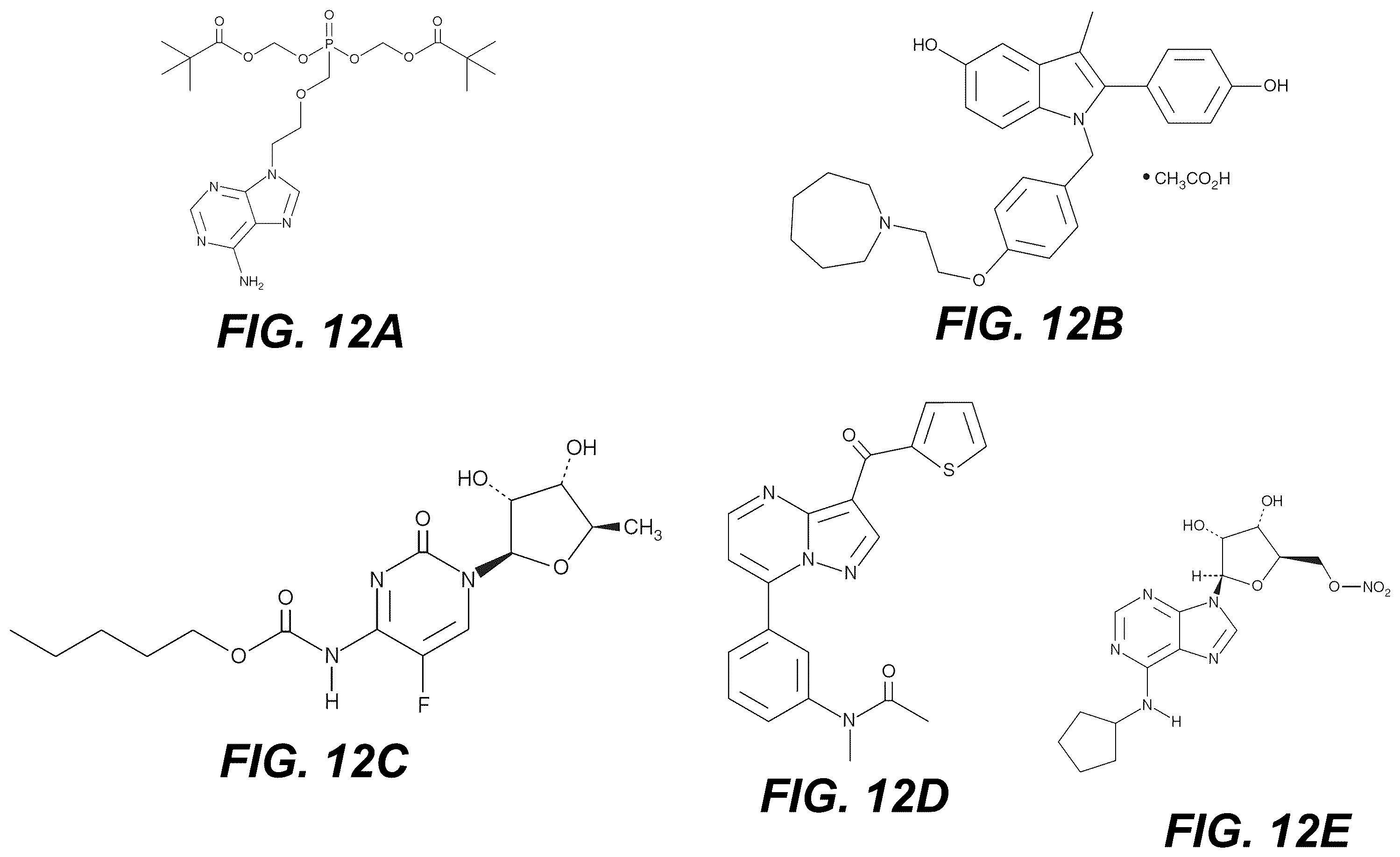Patent US12551475 Figure 12 – Methods and compositions for treating RNA viral infections