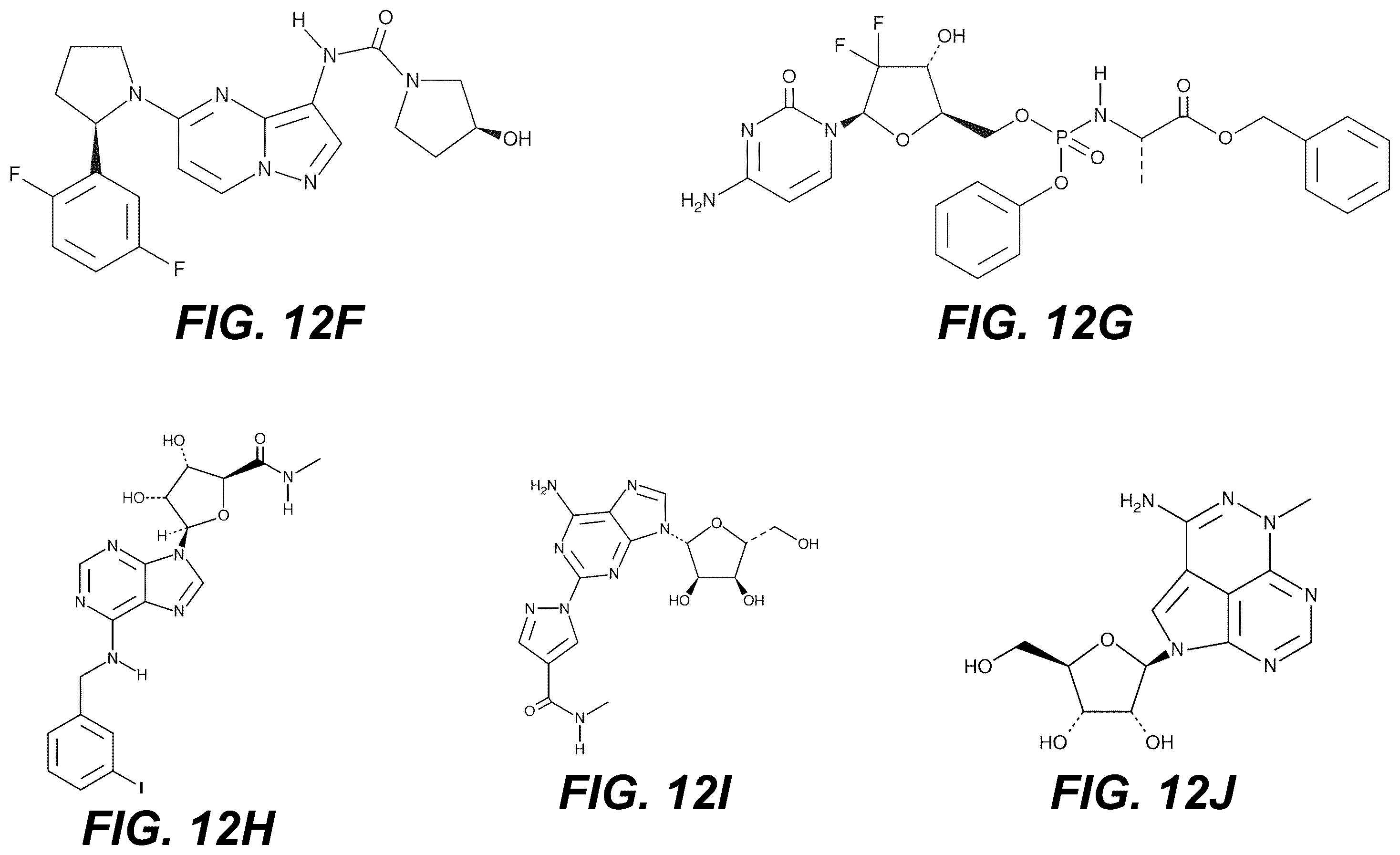 Patent US12551475 Figure 13 – Methods and compositions for treating RNA viral infections