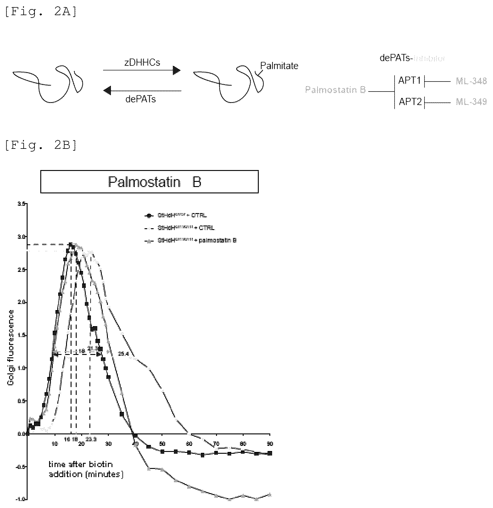 Patent US12551479 Figure 3 – Acyl-protein thioesterase inhibitor for the treatment and/or prevention of Huntington's disease