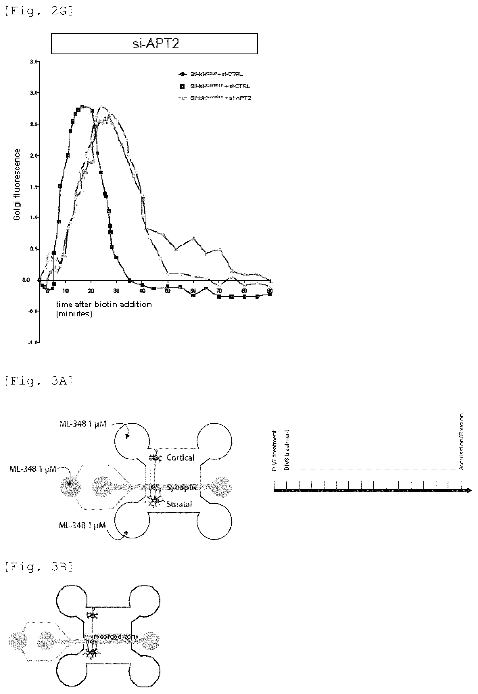 Patent US12551479 Figure 6 – Acyl-protein thioesterase inhibitor for the treatment and/or prevention of Huntington's disease
