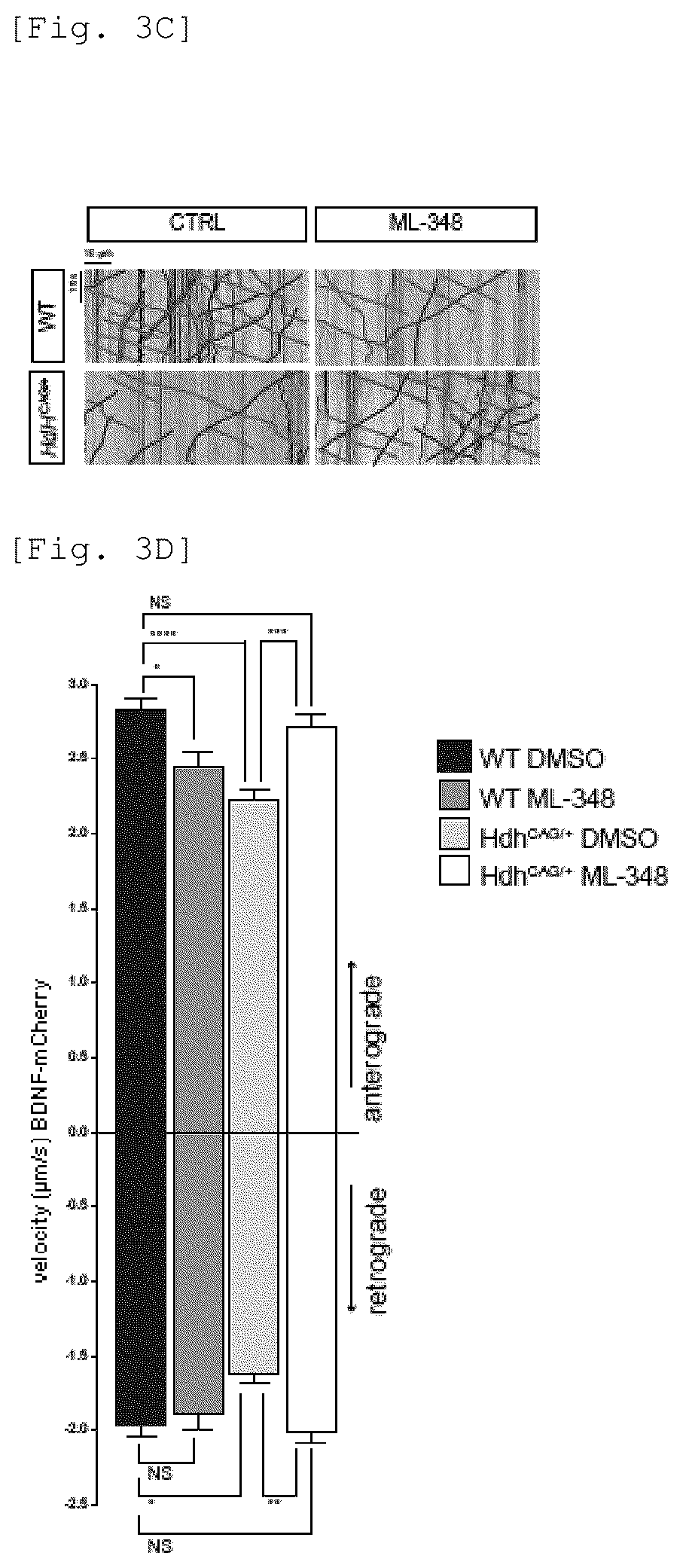 Patent US12551479 Figure 7 – Acyl-protein thioesterase inhibitor for the treatment and/or prevention of Huntington's disease