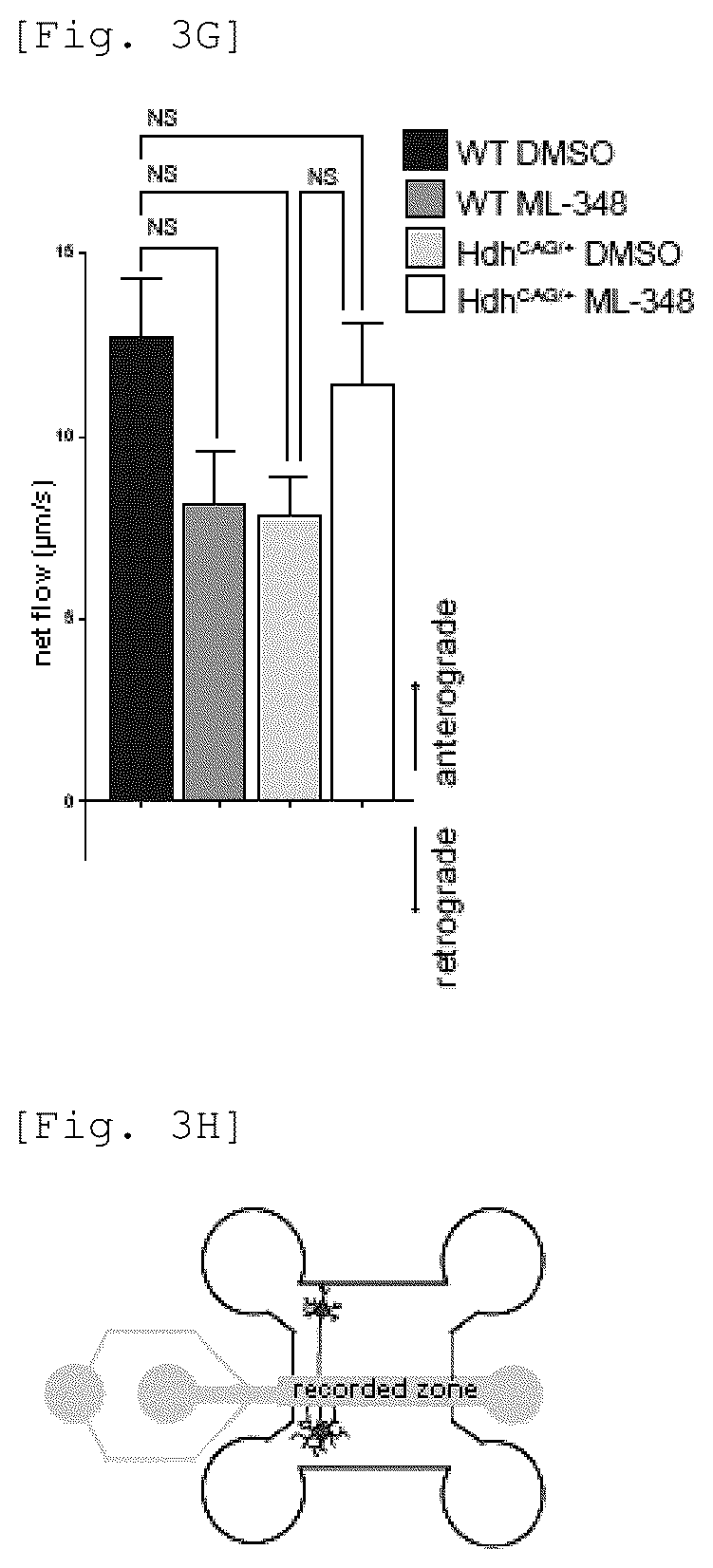 Patent US12551479 Figure 9 – Acyl-protein thioesterase inhibitor for the treatment and/or prevention of Huntington's disease