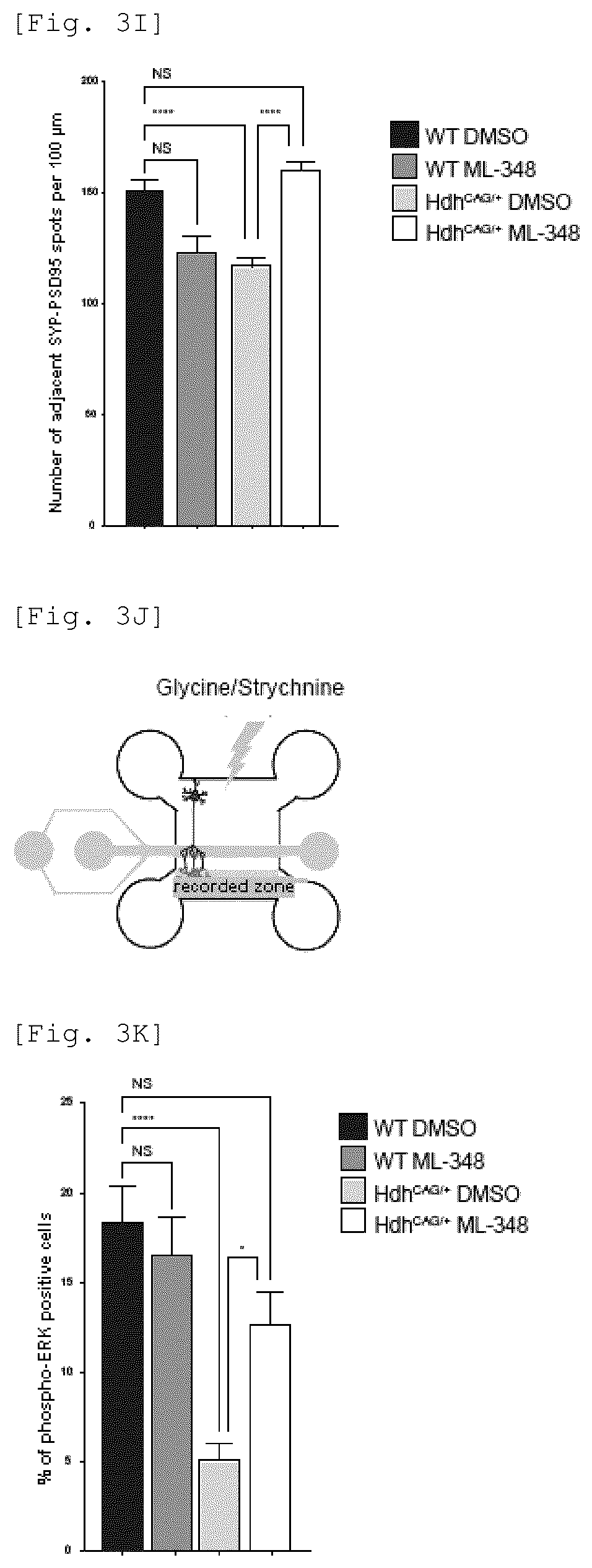 Patent US12551479 Figure 10 – Acyl-protein thioesterase inhibitor for the treatment and/or prevention of Huntington's disease