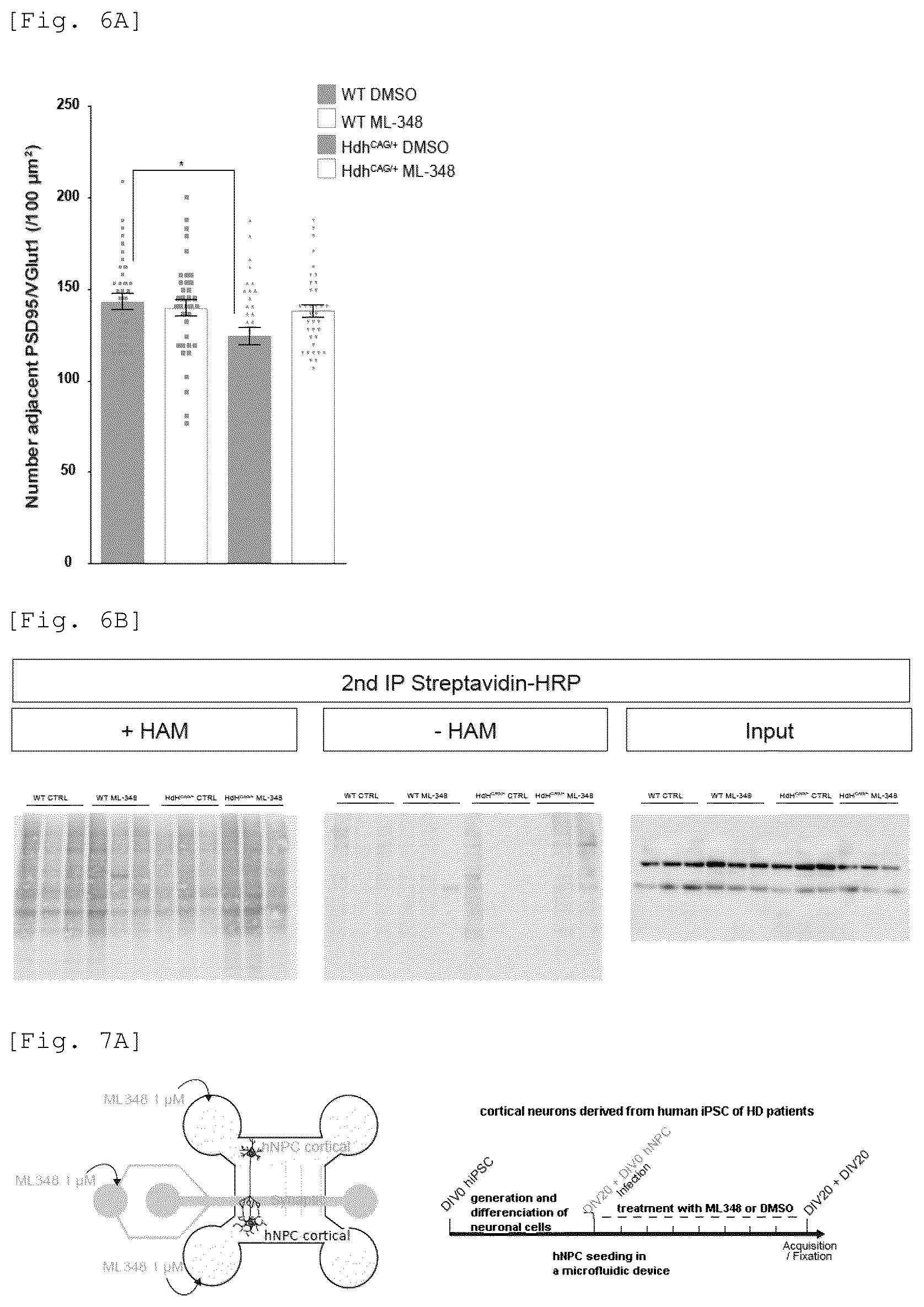 Patent US12551479 Figure 19 – Acyl-protein thioesterase inhibitor for the treatment and/or prevention of Huntington's disease