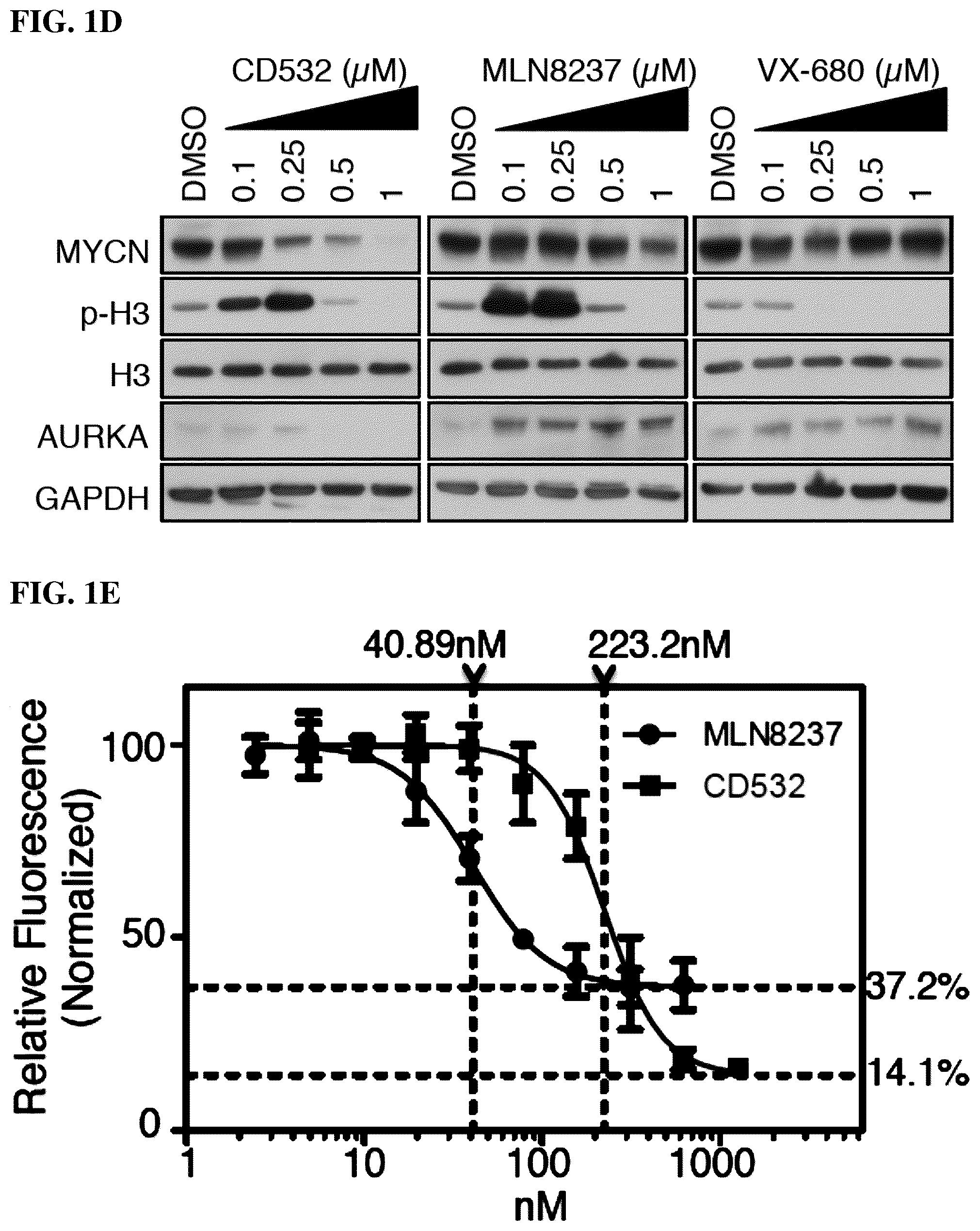 Patent US12551482 Figure 2 – Aurora kinase inhibitors