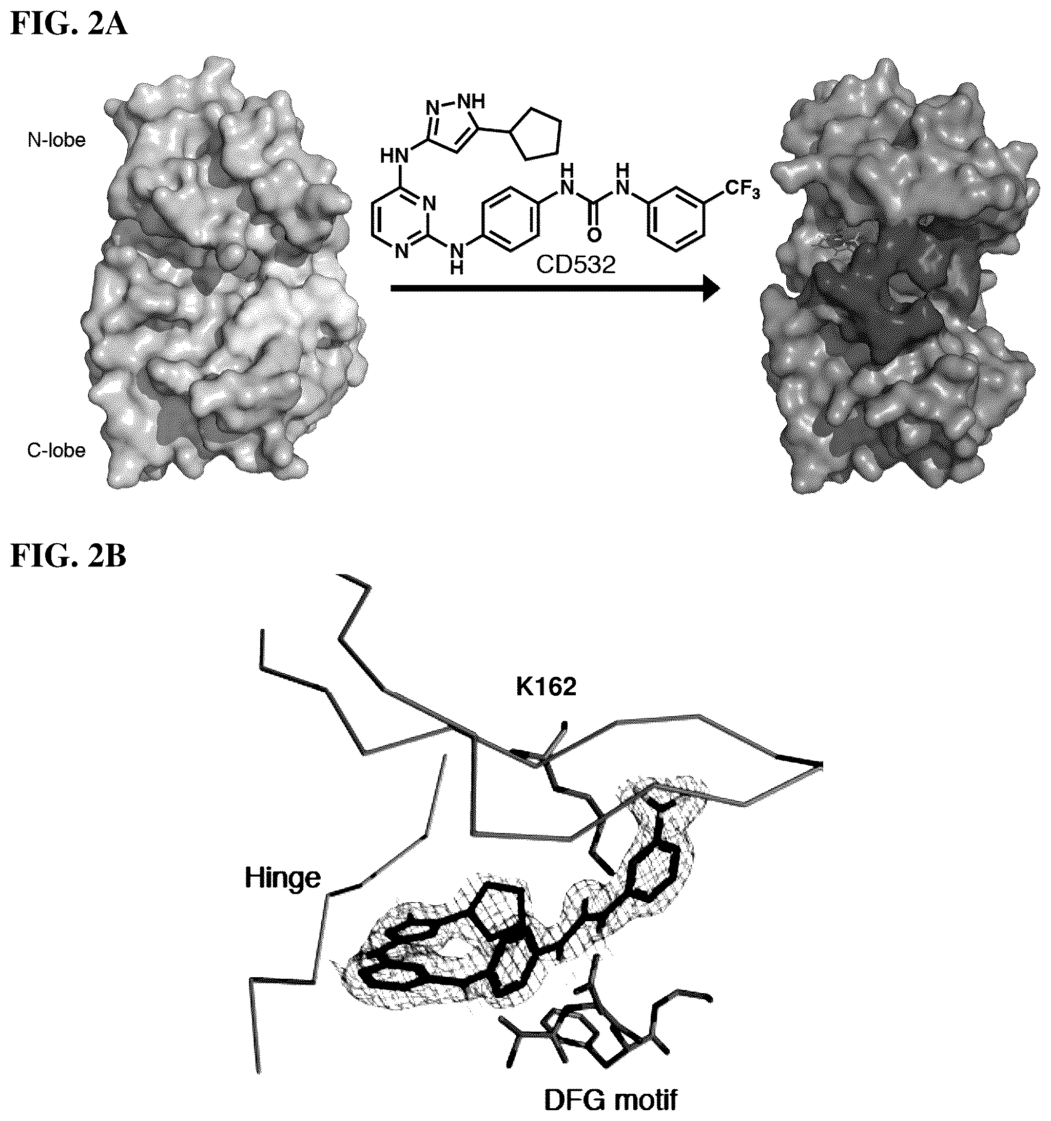 Patent US12551482 Figure 4 – Aurora kinase inhibitors