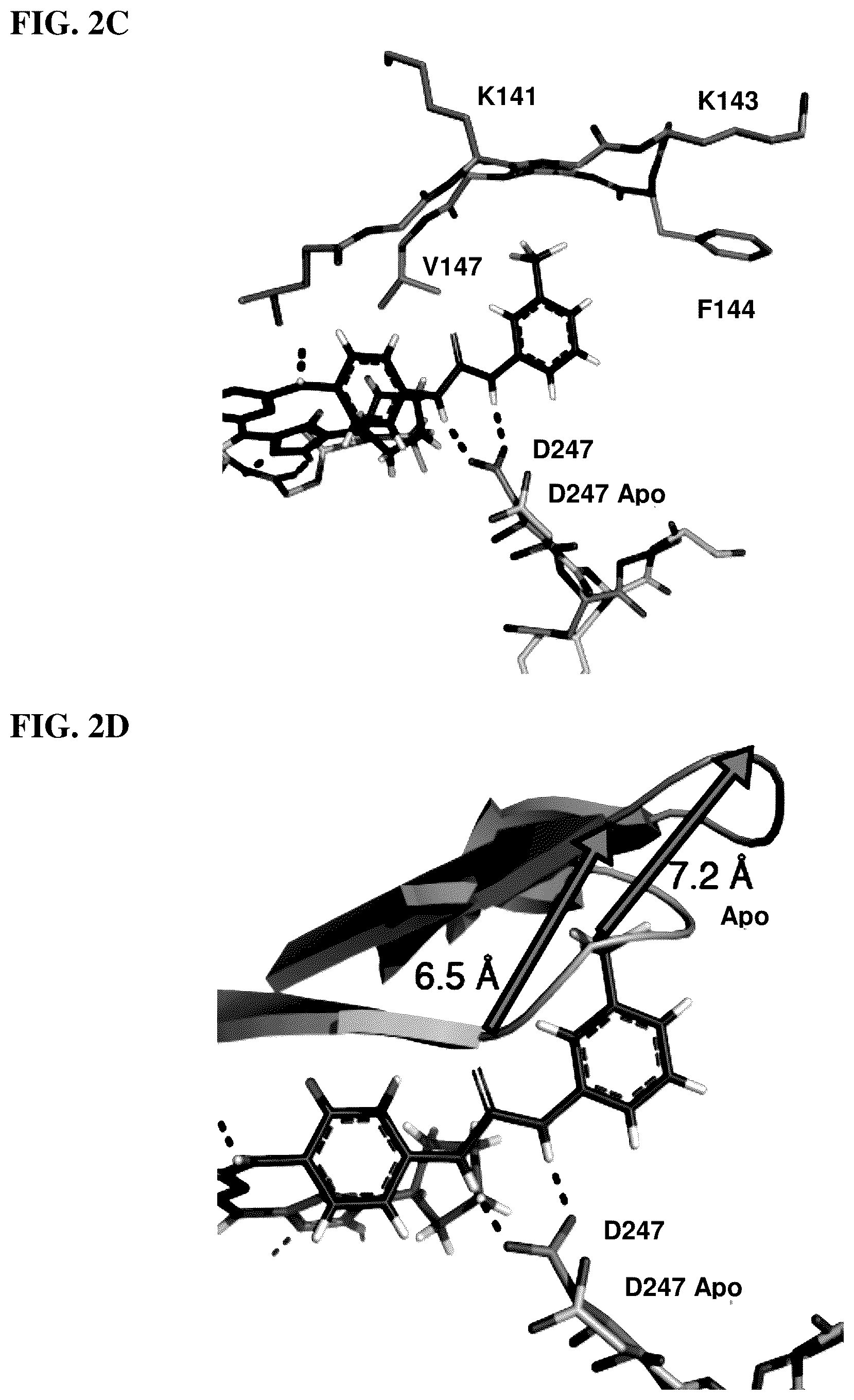 Patent US12551482 Figure 5 – Aurora kinase inhibitors