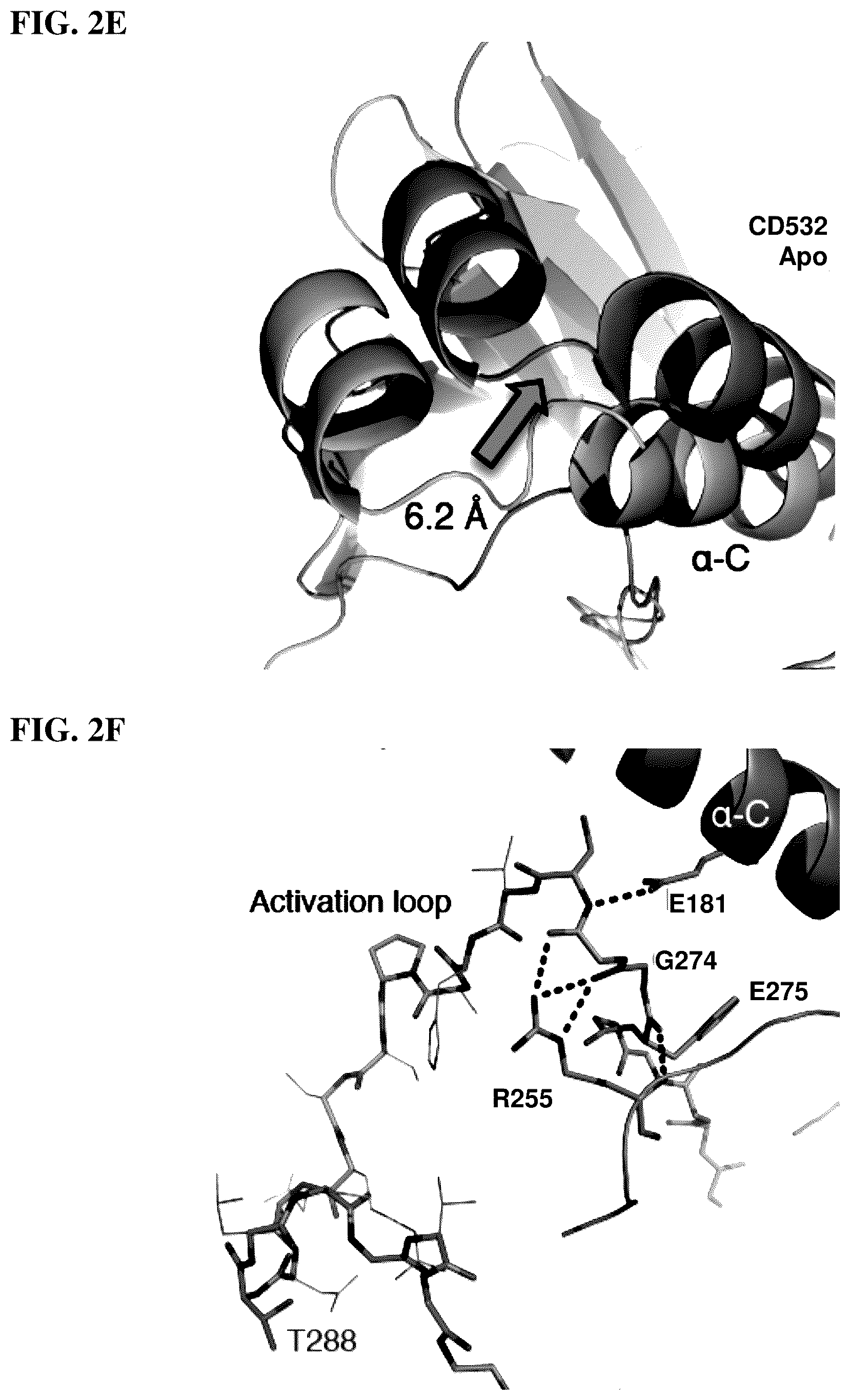 Patent US12551482 Figure 6 – Aurora kinase inhibitors