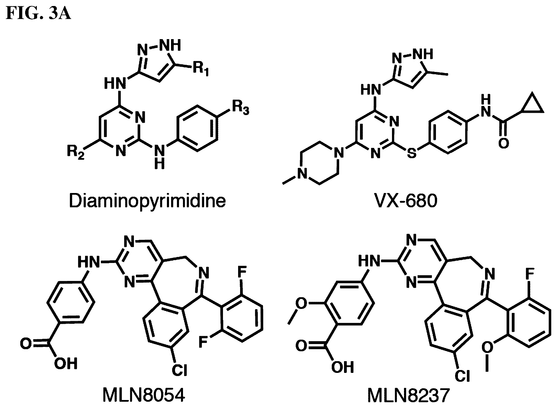 Patent US12551482 Figure 8 – Aurora kinase inhibitors