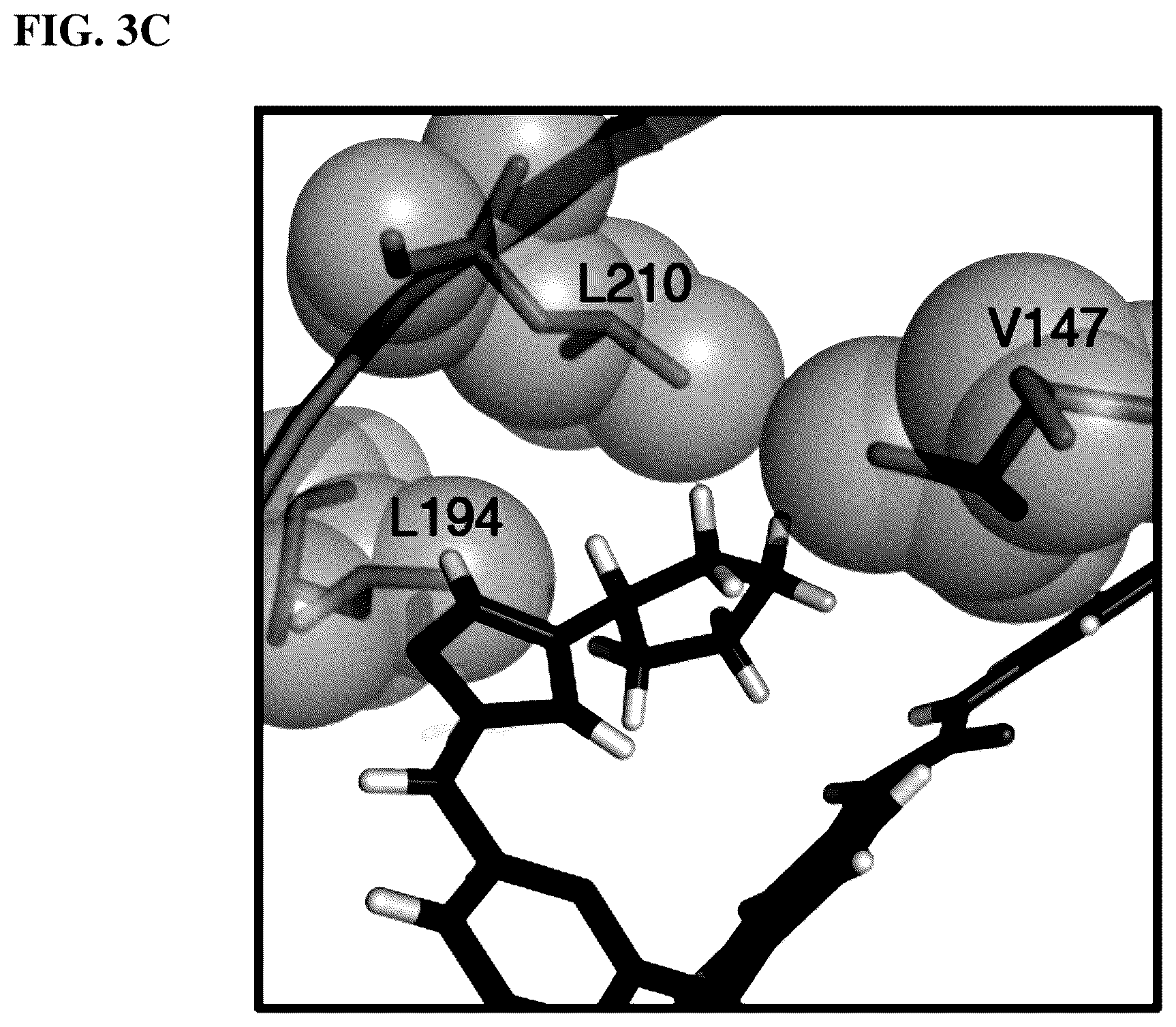 Patent US12551482 Figure 10 – Aurora kinase inhibitors
