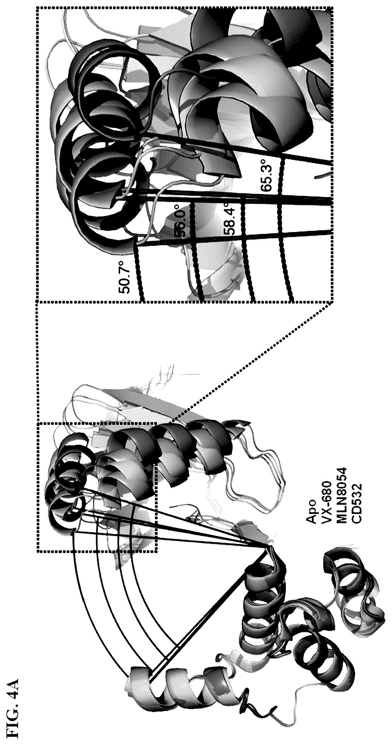 Patent US12551482 Figure 12 – Aurora kinase inhibitors