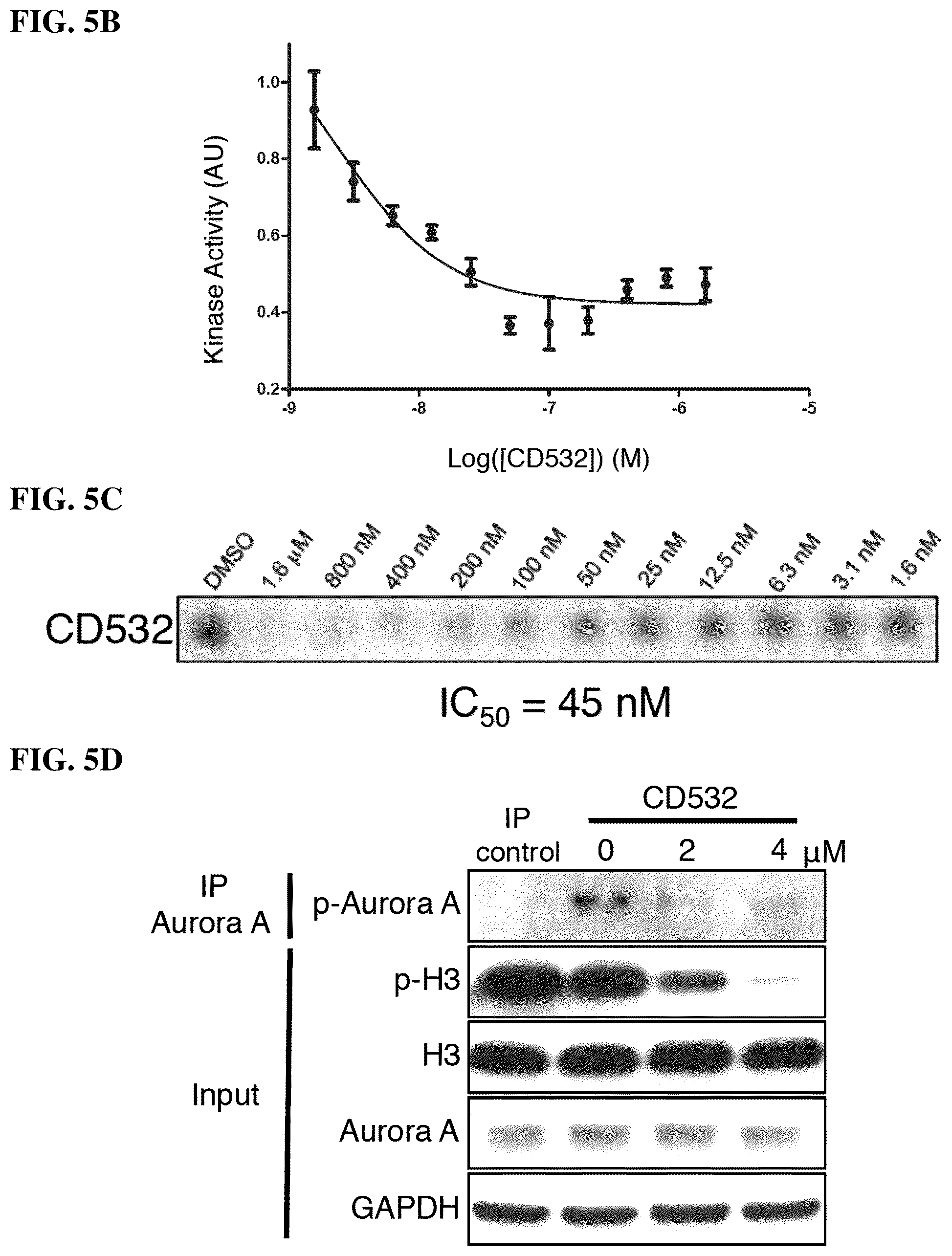 Patent US12551482 Figure 15 – Aurora kinase inhibitors