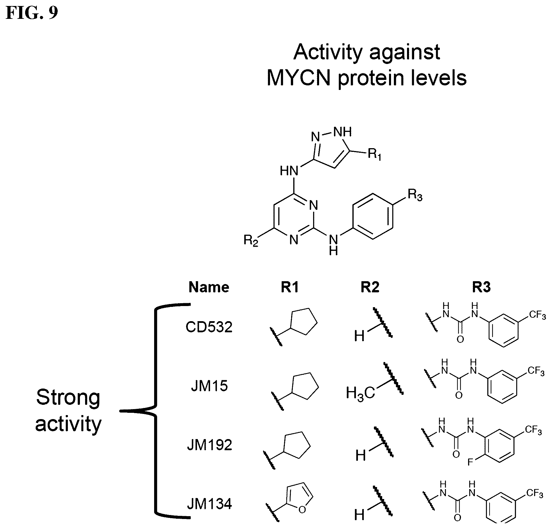 Patent US12551482 Figure 20 – Aurora kinase inhibitors