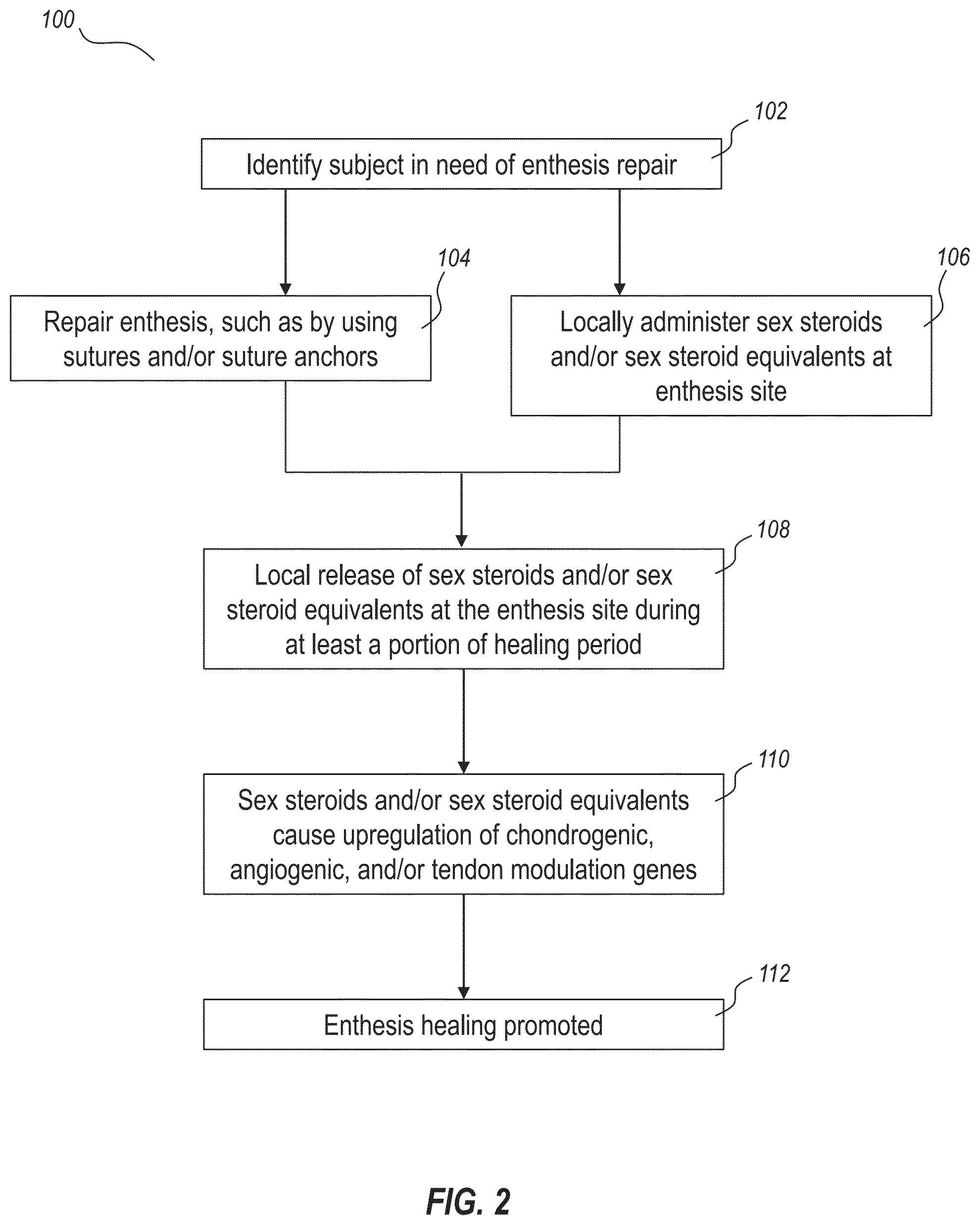 Patent US12551492 Figure 2 – Enthesis healing