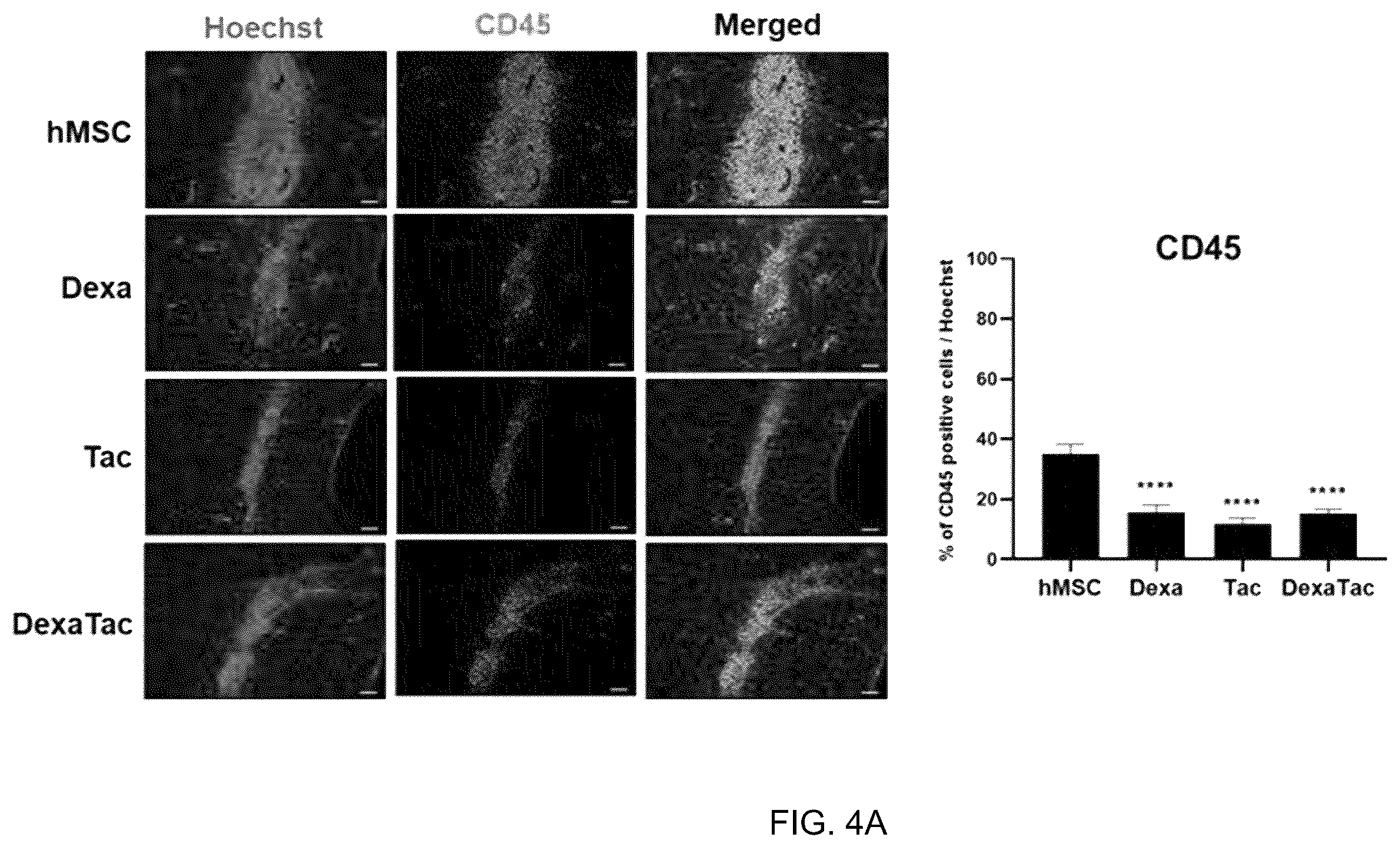 Patent US12551493 Figure 5 – Composition for enhancing therapeutic effect of stem cell, comprising immunosuppressant, and method for enhancing therapeutic effect of stem cell using same