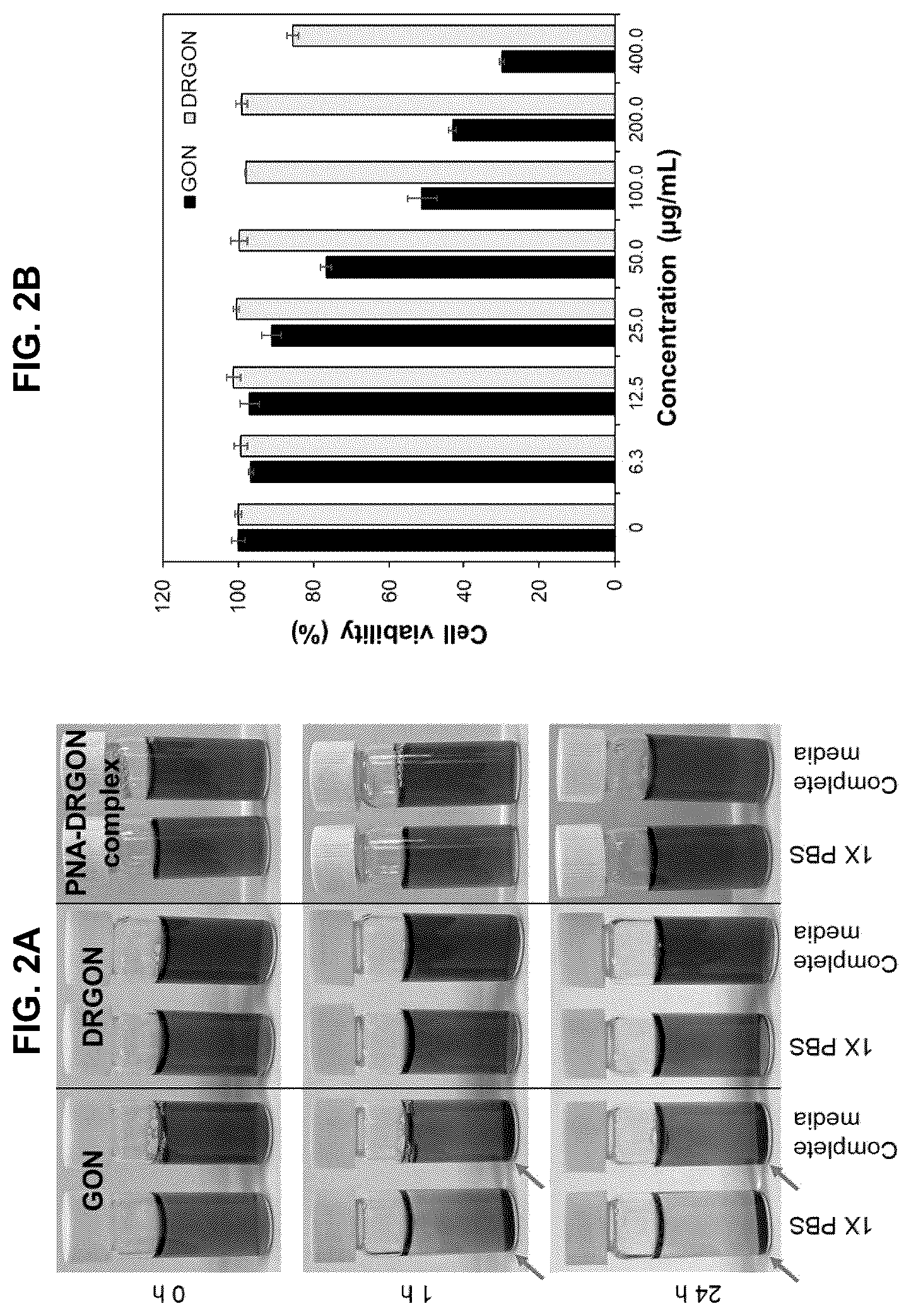 Patent US12551494 Figure 2 – Pharmaceutical composition for preventing or treating dengue fever