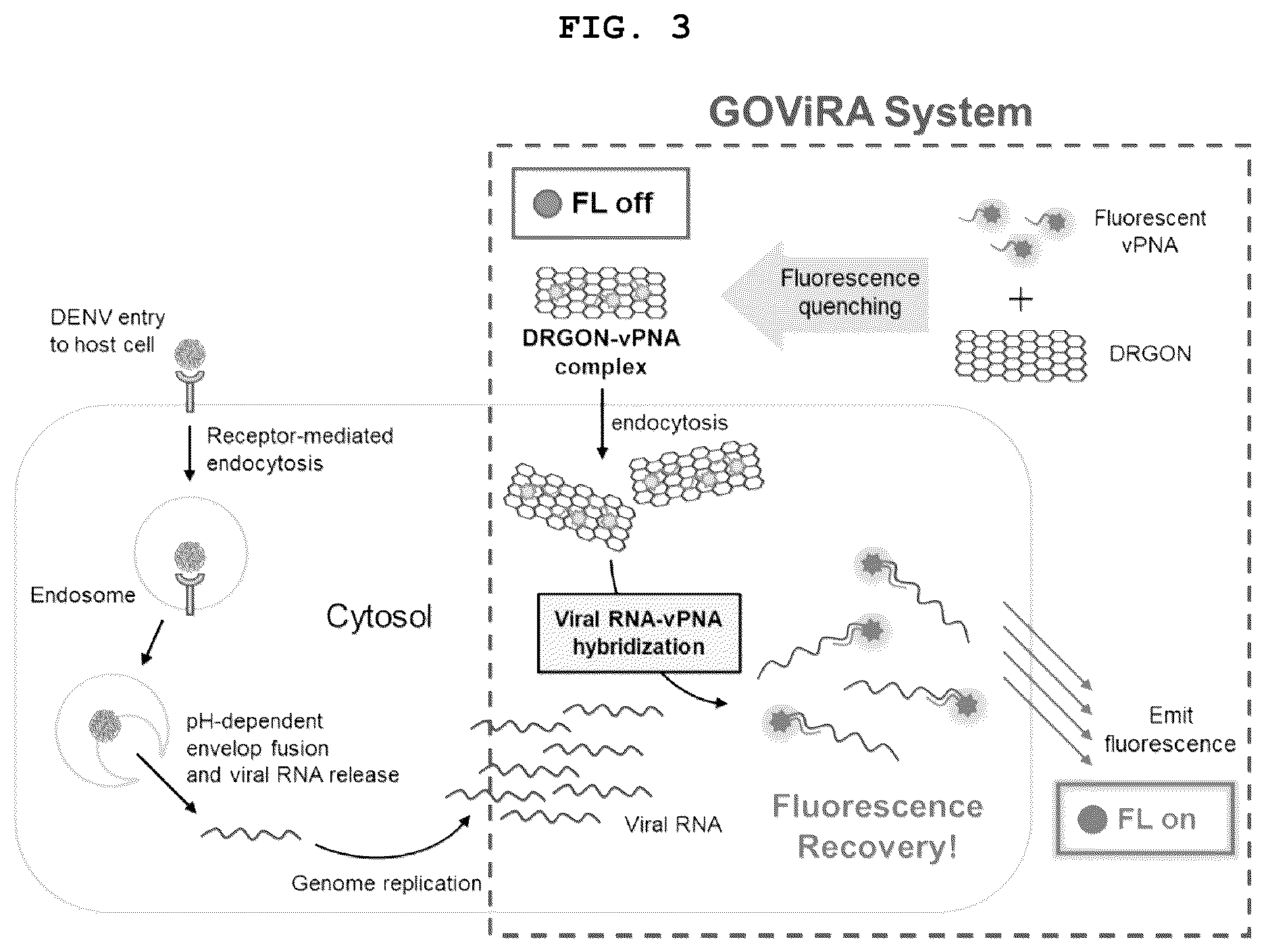 Patent US12551494 Figure 3 – Pharmaceutical composition for preventing or treating dengue fever