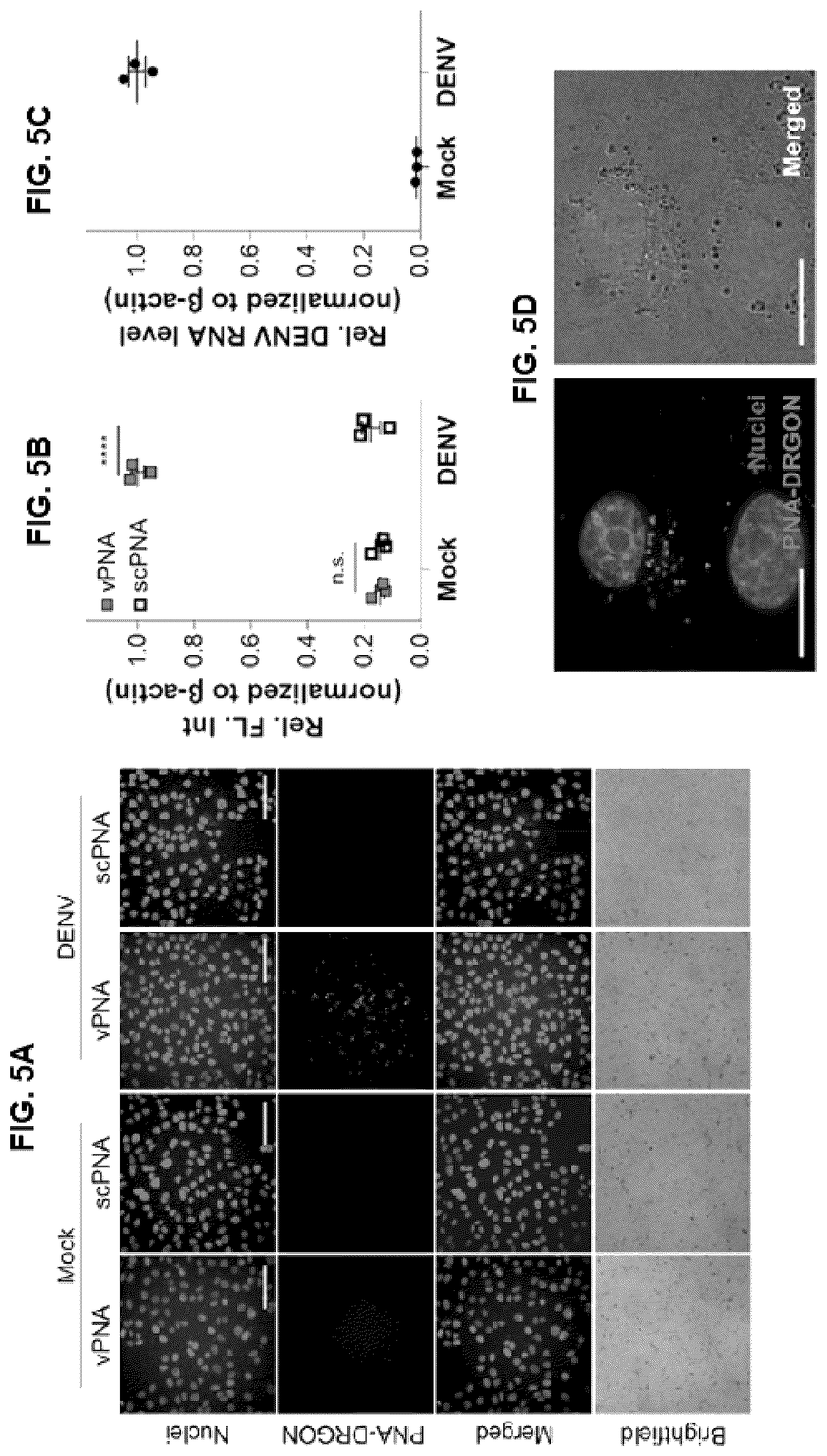 Patent US12551494 Figure 5 – Pharmaceutical composition for preventing or treating dengue fever