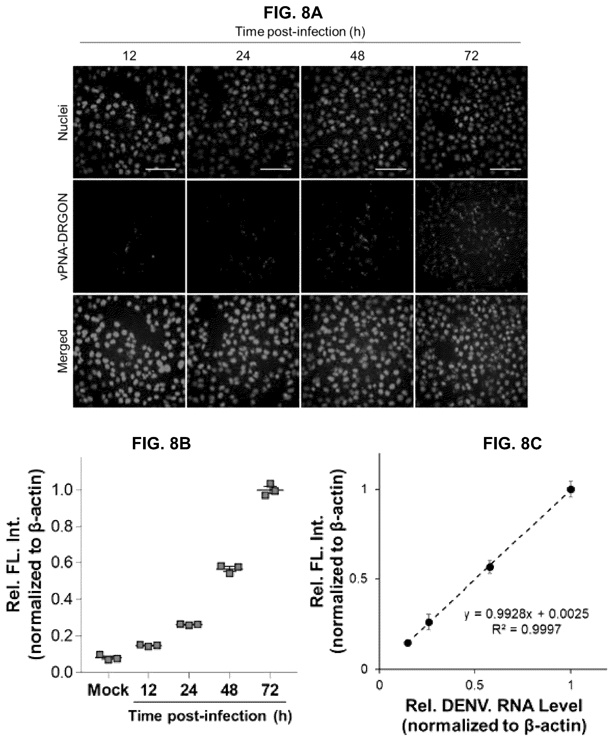 Patent US12551494 Figure 8 – Pharmaceutical composition for preventing or treating dengue fever
