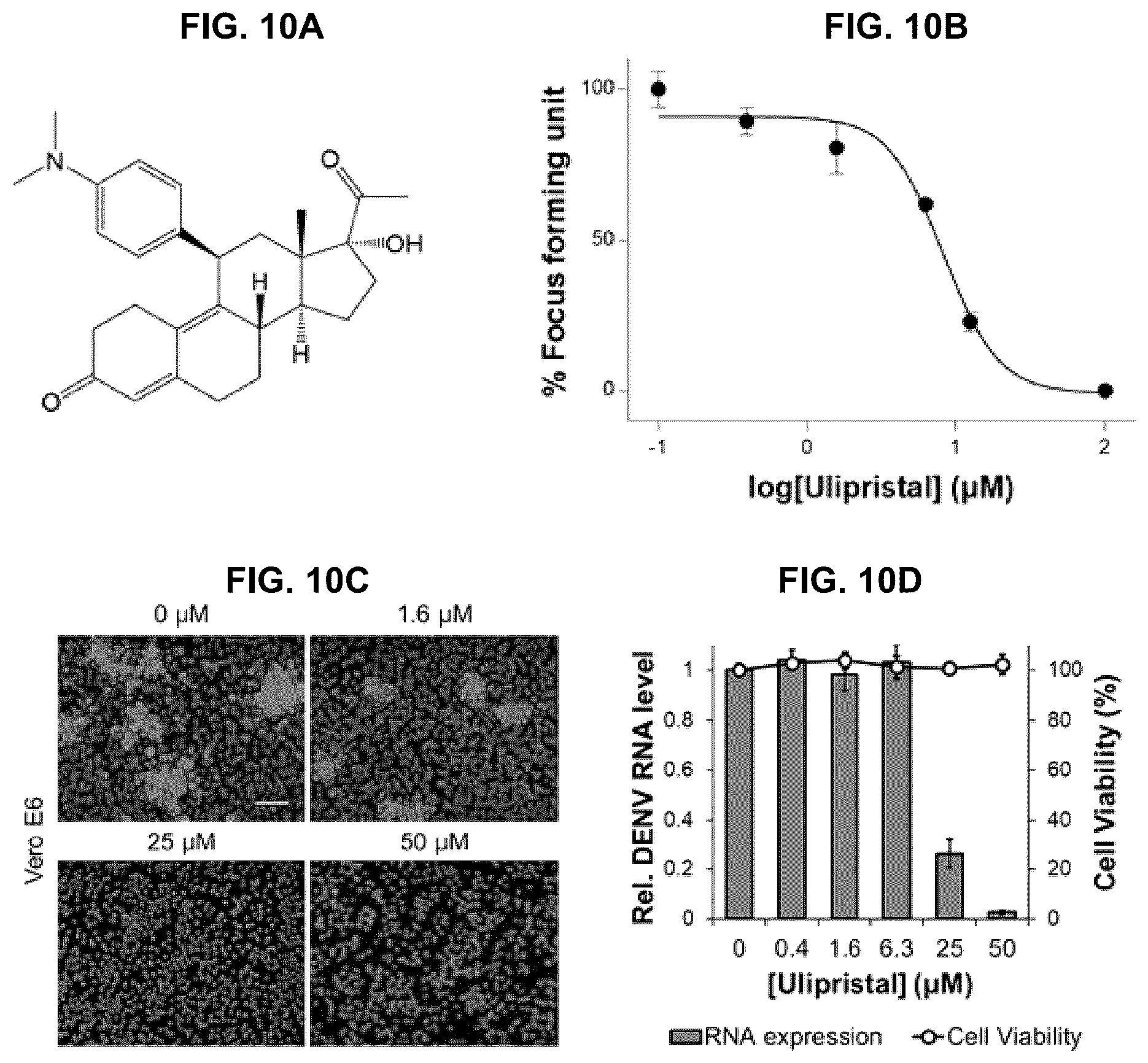 Patent US12551494 Figure 10 – Pharmaceutical composition for preventing or treating dengue fever