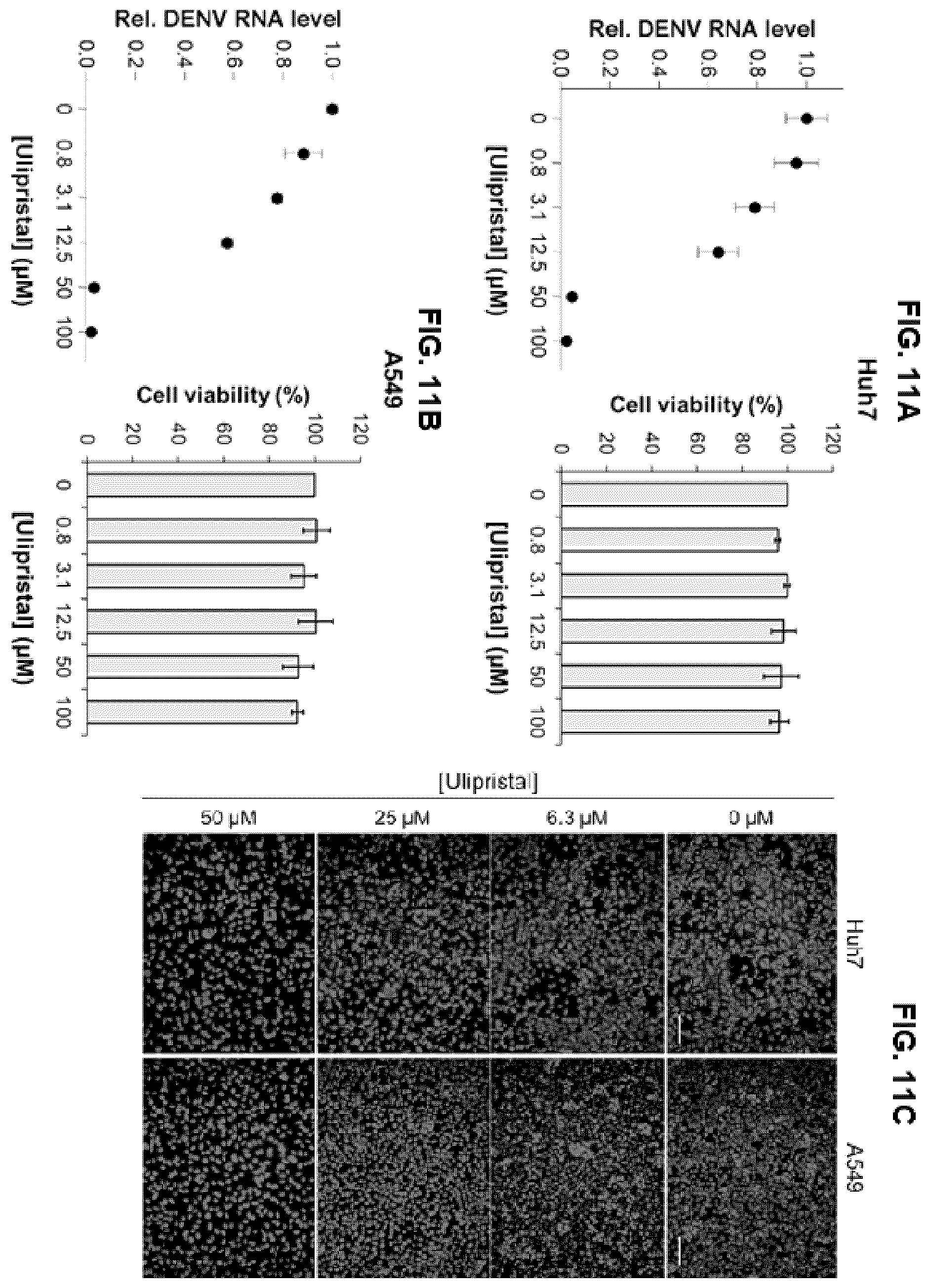 Patent US12551494 Figure 11 – Pharmaceutical composition for preventing or treating dengue fever