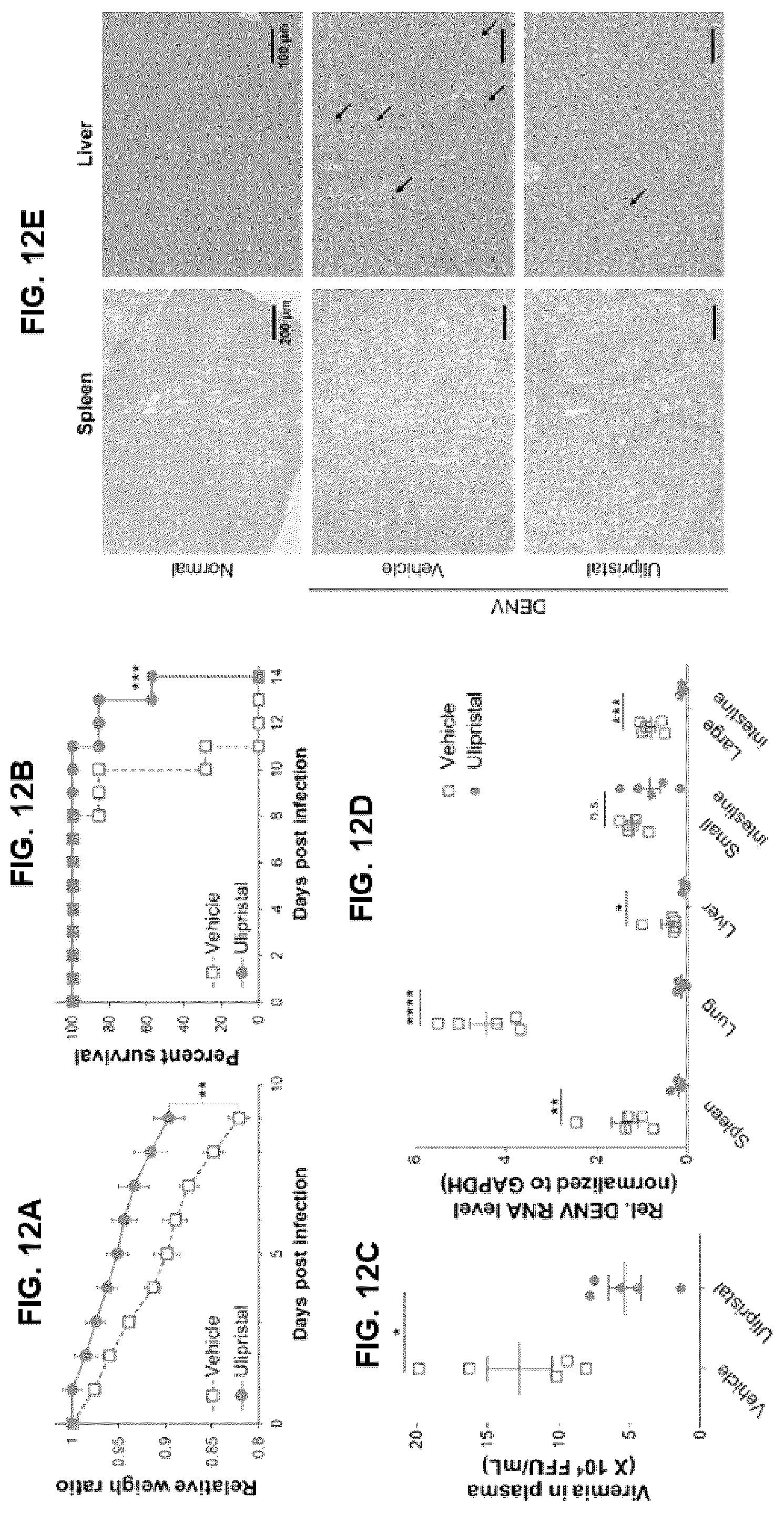 Patent US12551494 Figure 12 – Pharmaceutical composition for preventing or treating dengue fever