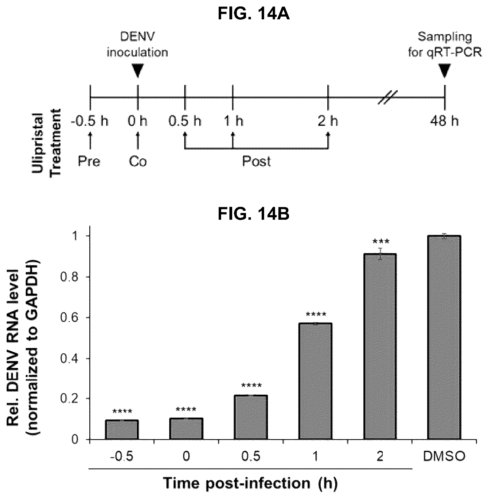 Patent US12551494 Figure 14 – Pharmaceutical composition for preventing or treating dengue fever