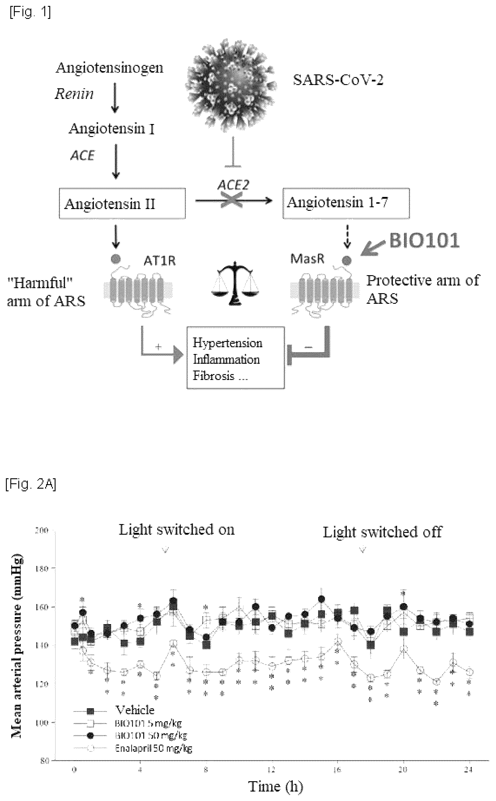 Patent US12551495 Figure 1 – Phytoecdysones and derivatives thereof for use in treating disordered respiratory function on viral infection