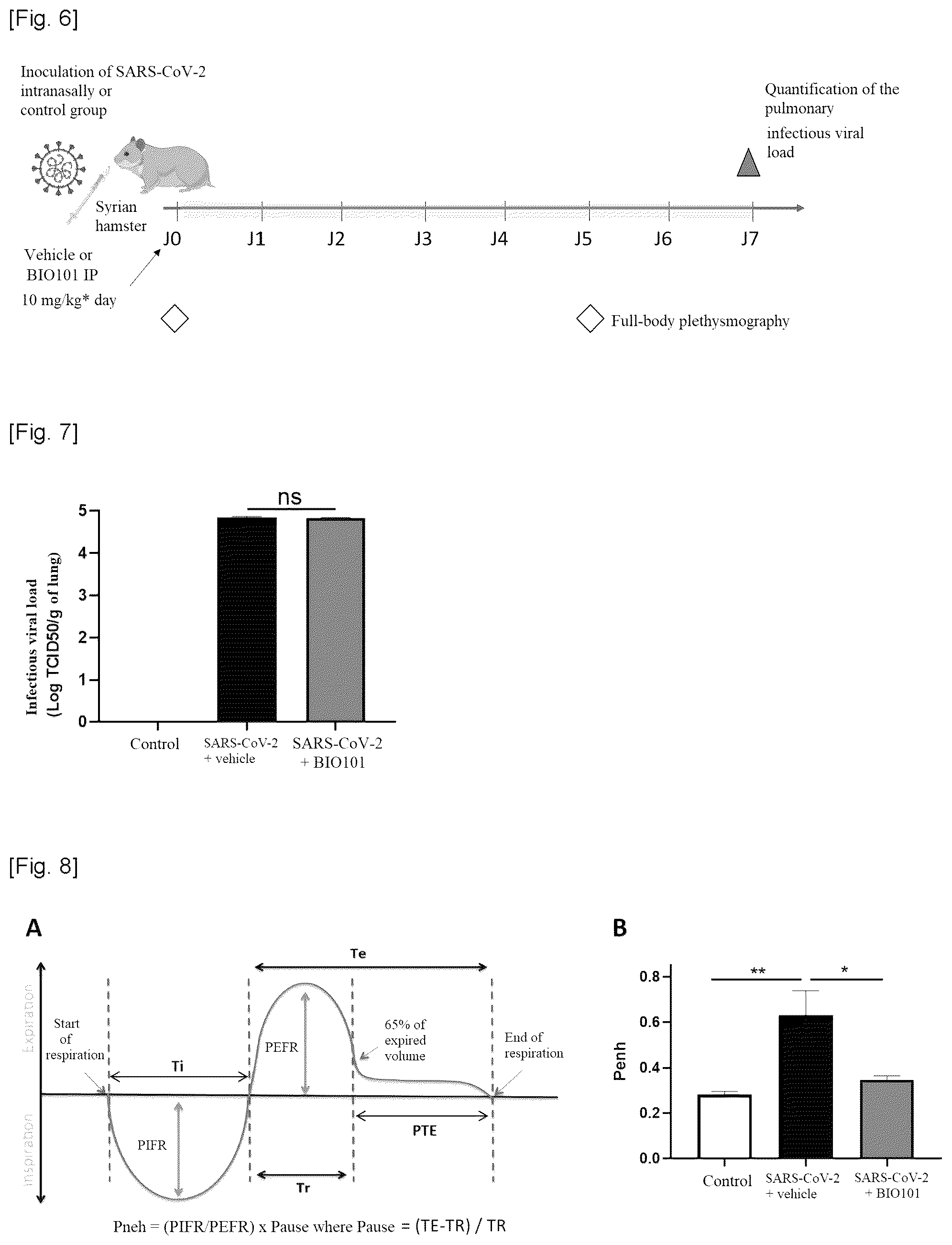 Patent US12551495 Figure 6 – Phytoecdysones and derivatives thereof for use in treating disordered respiratory function on viral infection