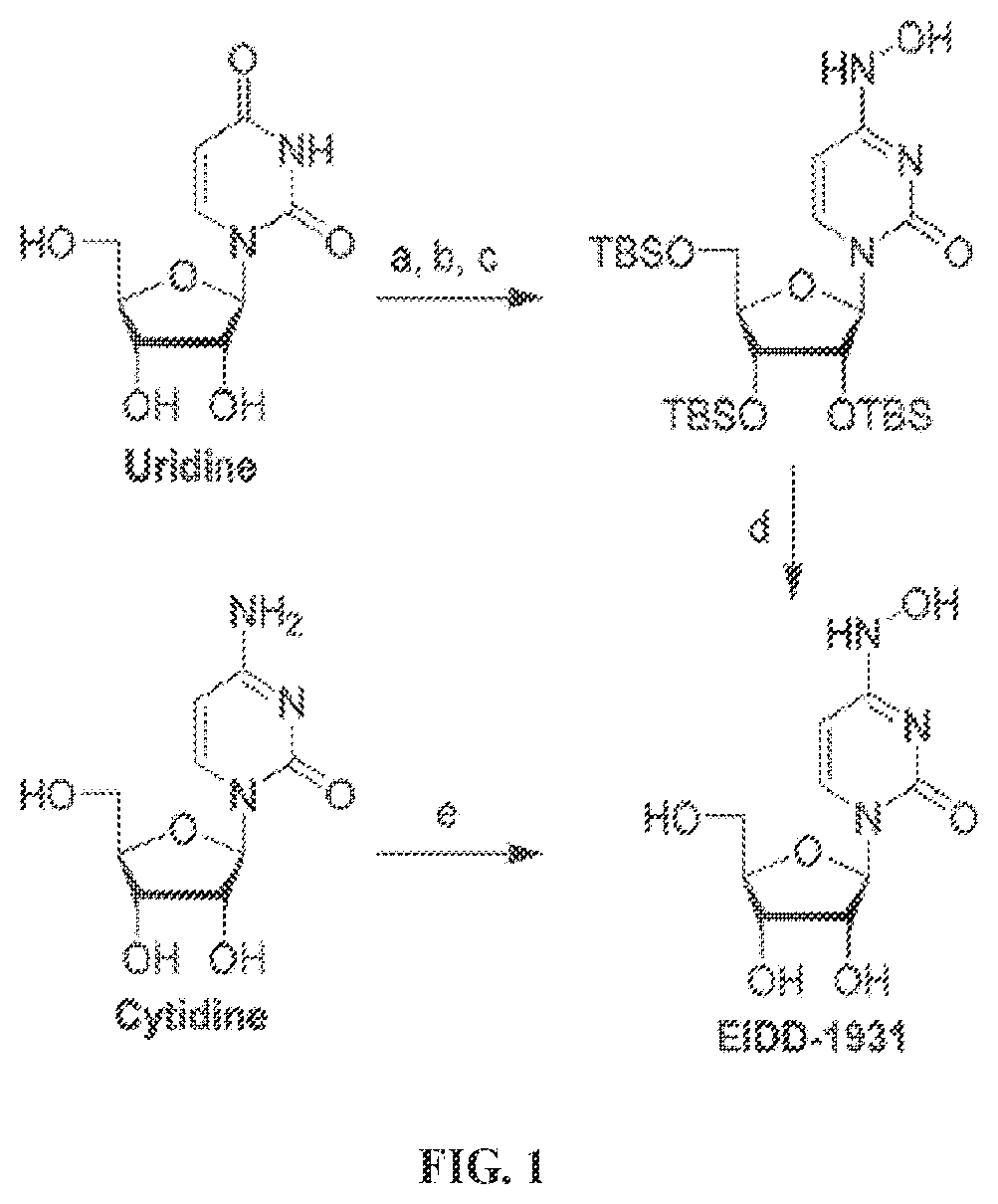 Patent US12551497 Figure 1 – N4-hydroxycytidine and derivatives and anti-viral uses related thereto
