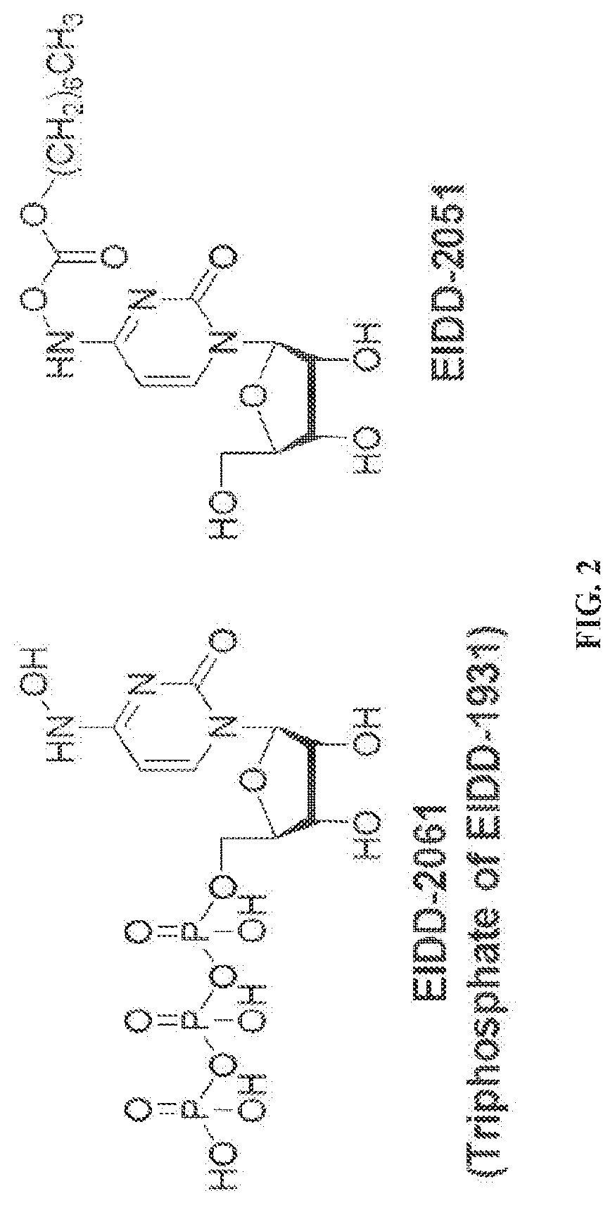Patent US12551497 Figure 2 – N4-hydroxycytidine and derivatives and anti-viral uses related thereto