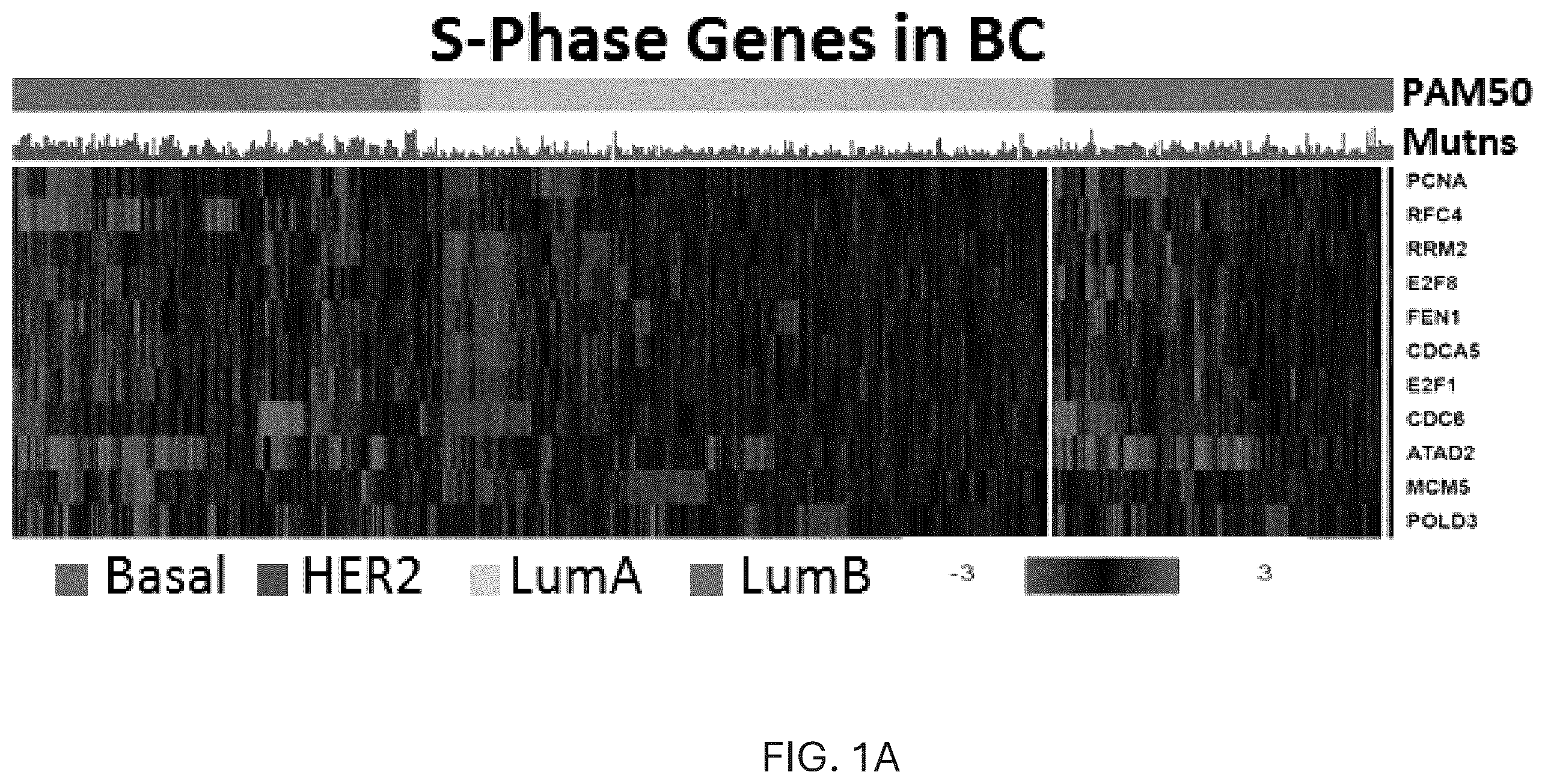 Patent US12551498 Figure 1 – Treatment of P53-deficient cancers