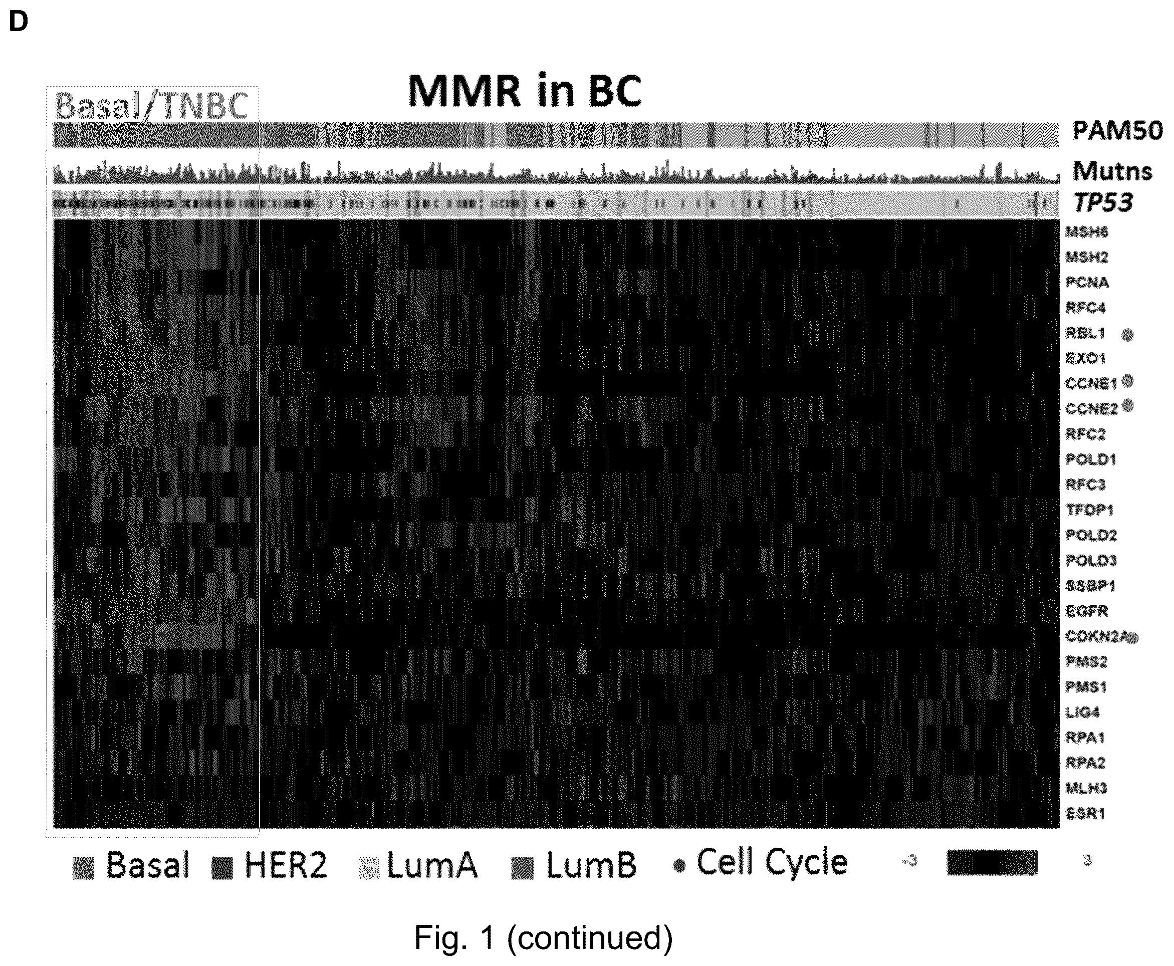 Patent US12551498 Figure 5 – Treatment of P53-deficient cancers