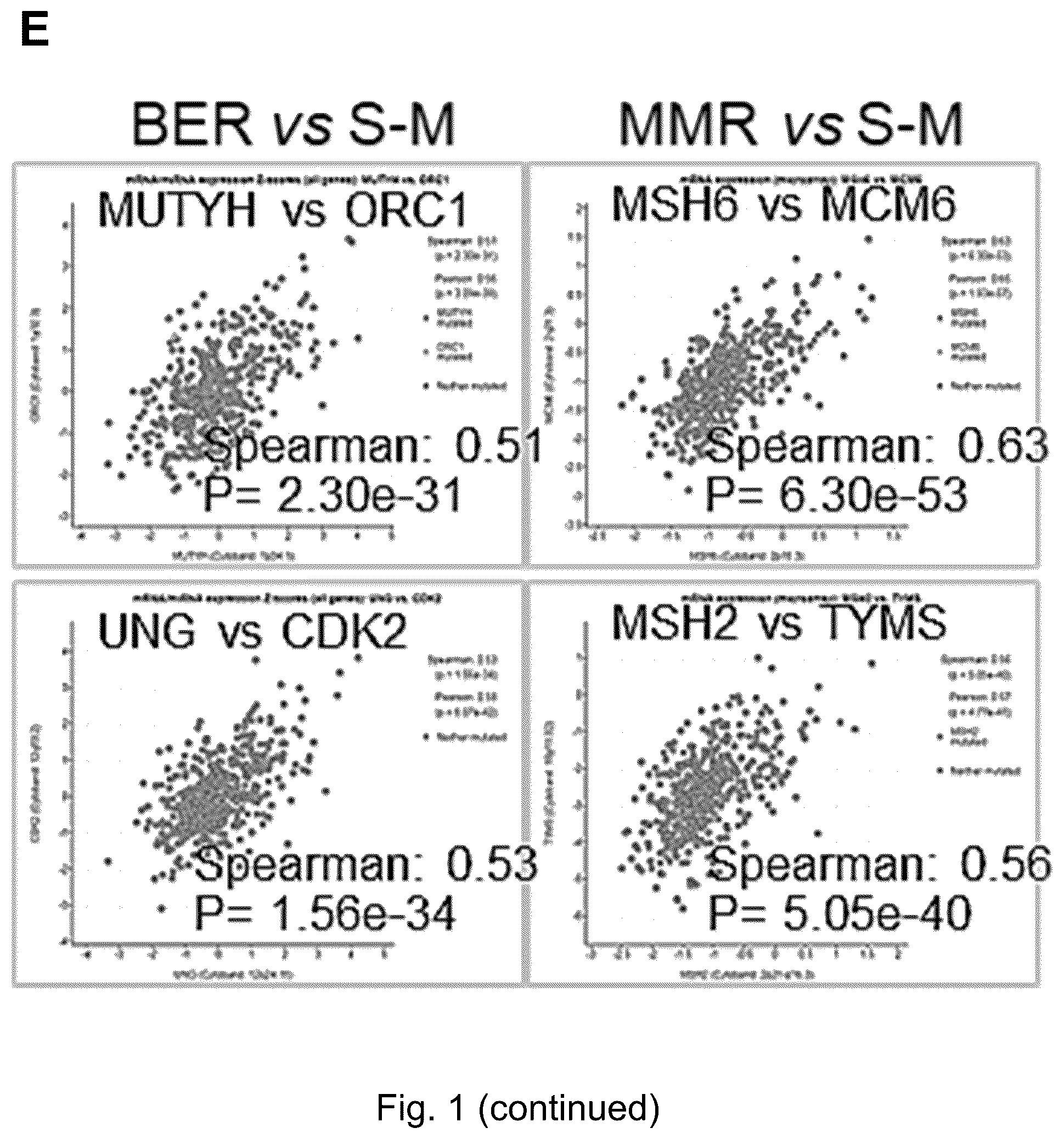 Patent US12551498 Figure 6 – Treatment of P53-deficient cancers