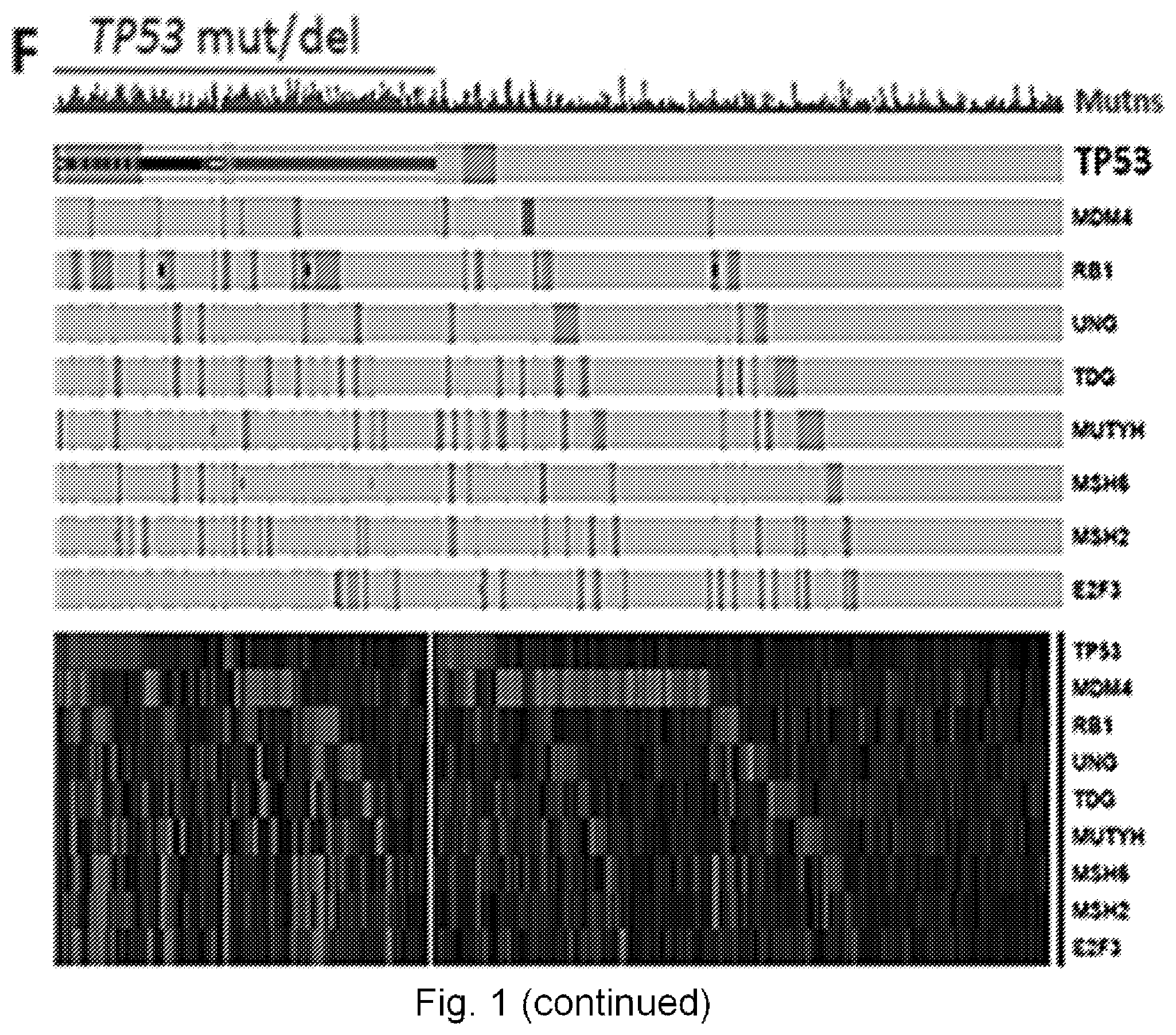 Patent US12551498 Figure 7 – Treatment of P53-deficient cancers