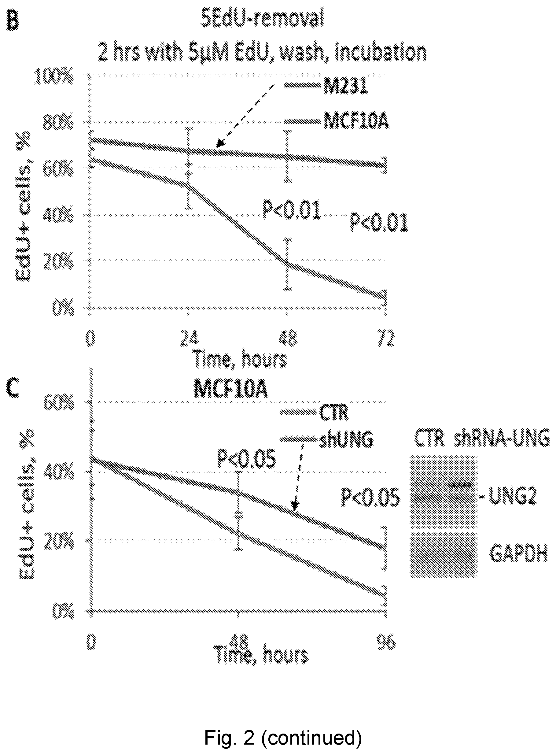 Patent US12551498 Figure 9 – Treatment of P53-deficient cancers
