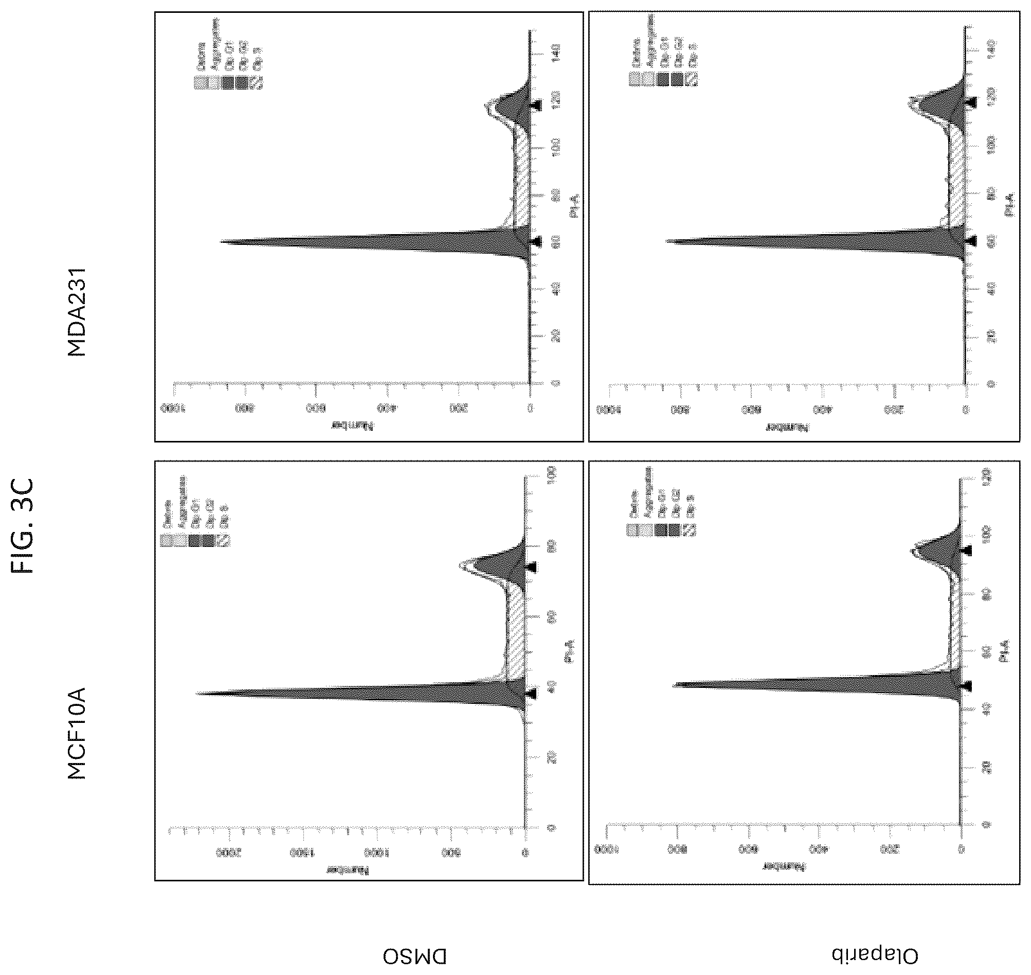 Patent US12551498 Figure 12 – Treatment of P53-deficient cancers