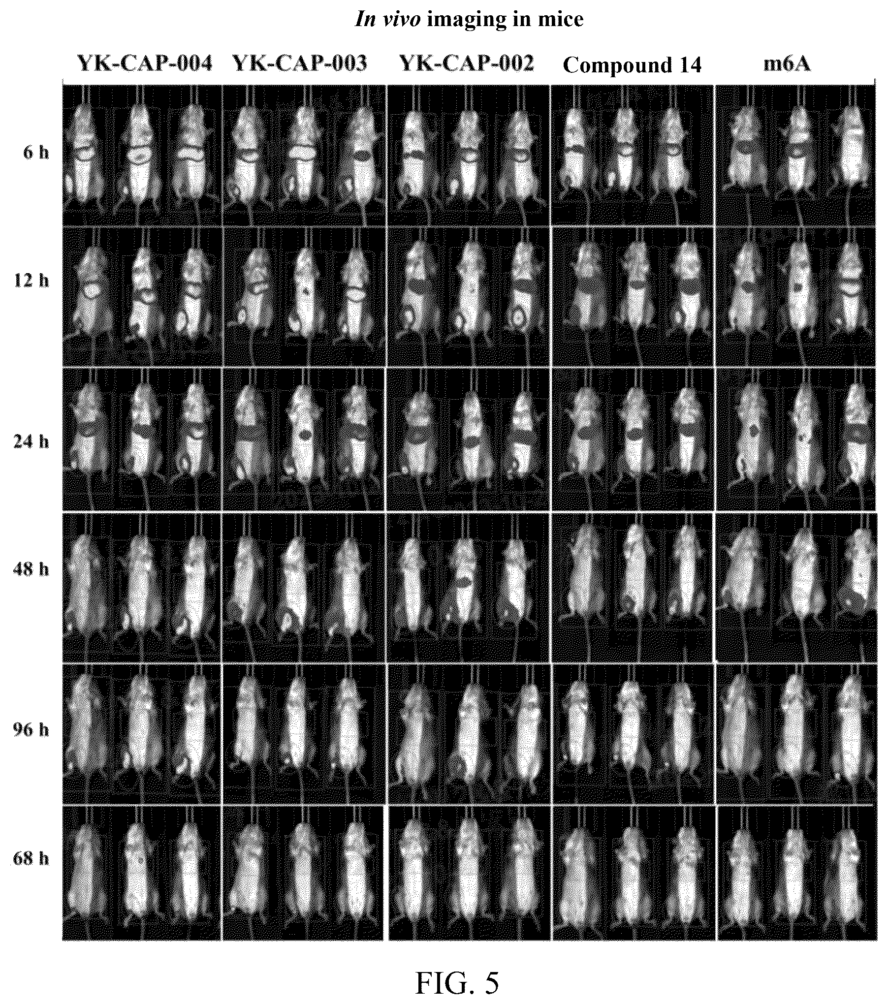 Patent US12551500 Figure 3 – C6′-substituted locked nucleic acid-modified cap analog and use thereof