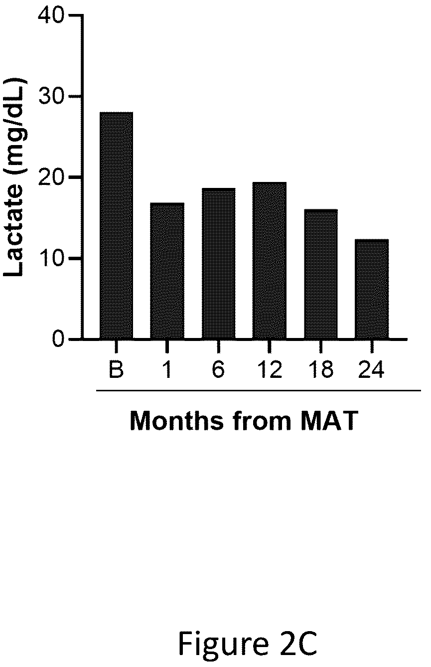 Patent US12551504 Figure 4 – Mitochondrial augmentation therapy of pancreatic diseases