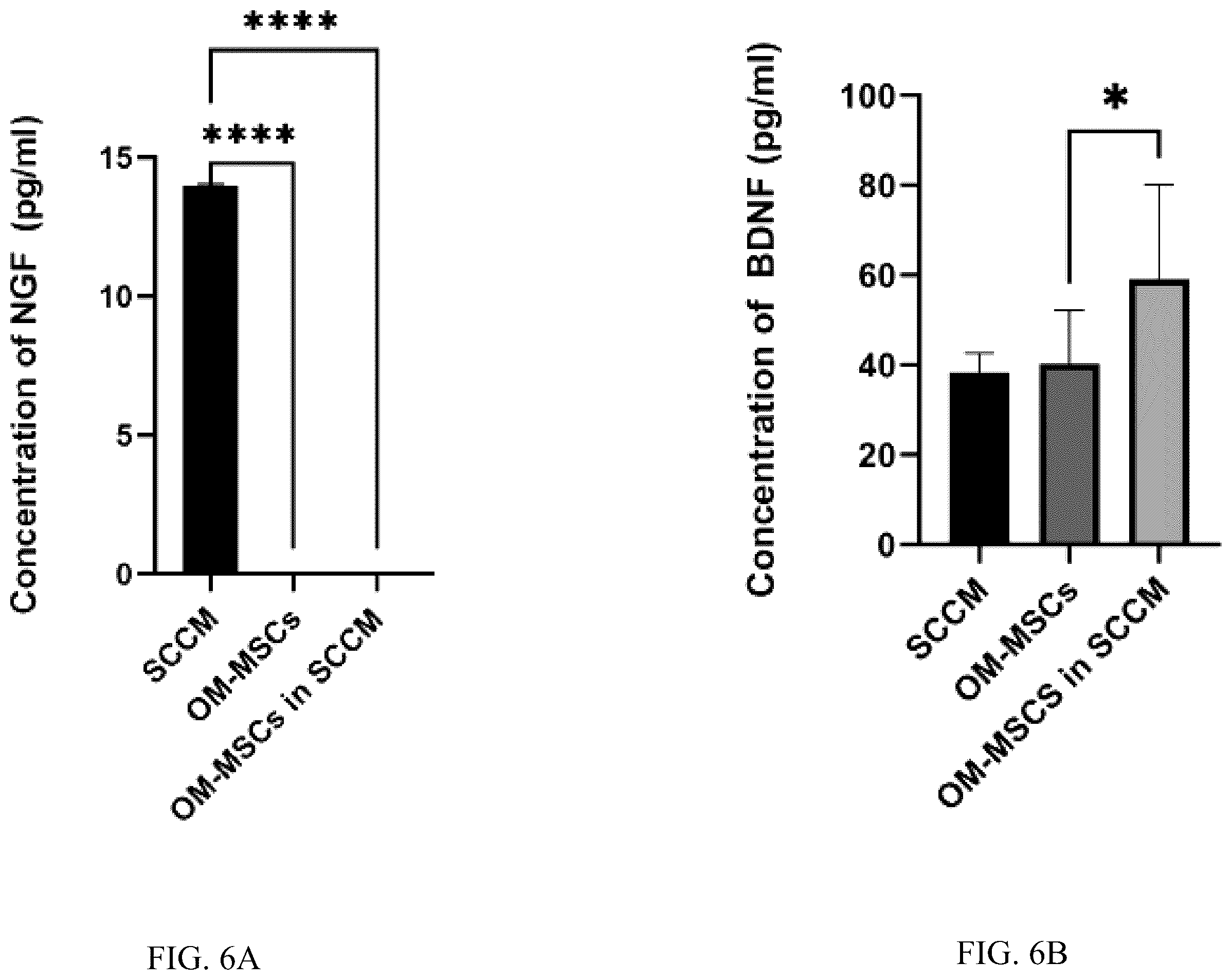 Patent US12551506 Figure 9 – Differentiation of olfactory mucosa derived mesenchymal stem cells to schwann cells for peripheral nerve repair