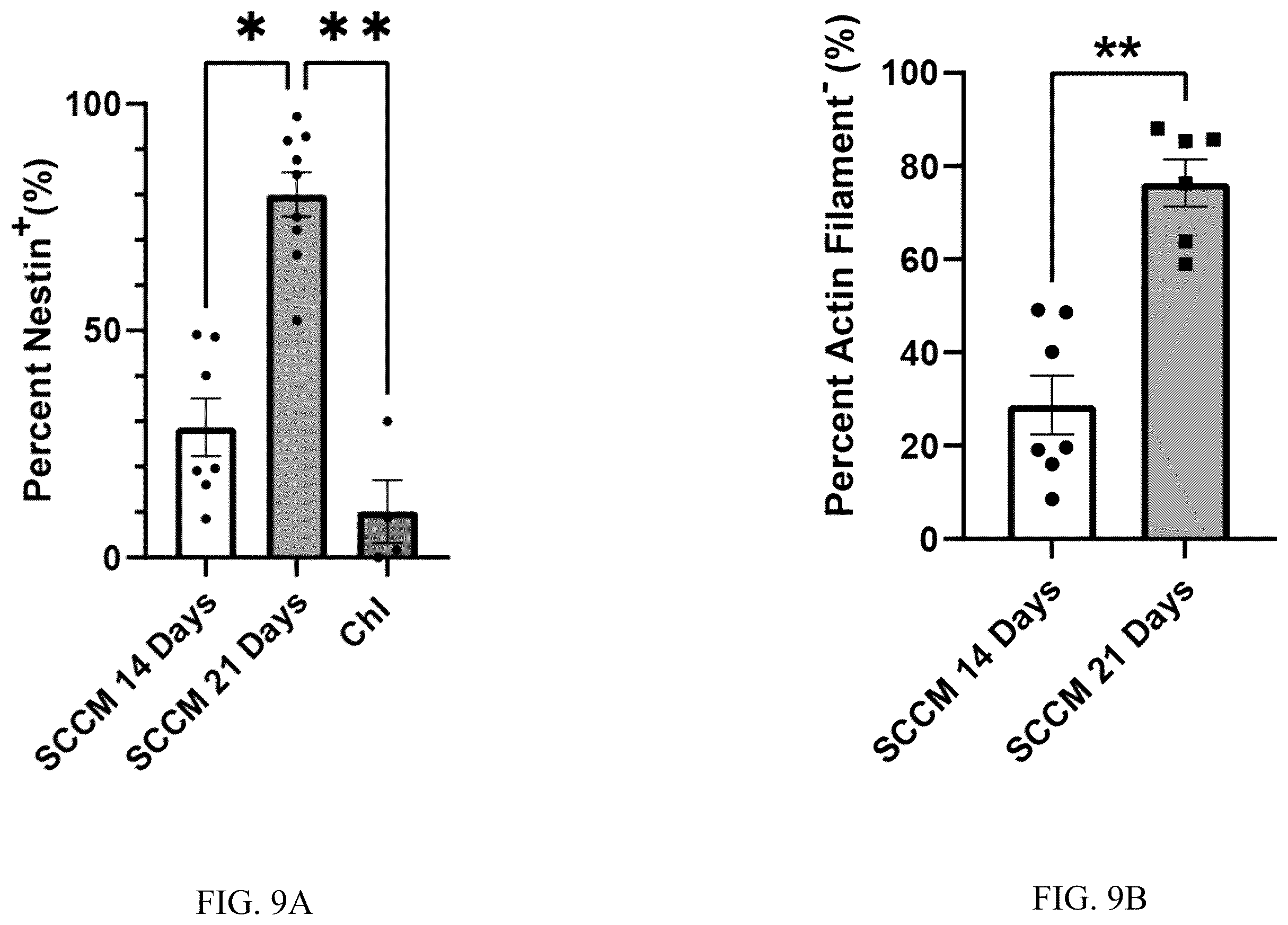 Patent US12551506 Figure 15 – Differentiation of olfactory mucosa derived mesenchymal stem cells to schwann cells for peripheral nerve repair