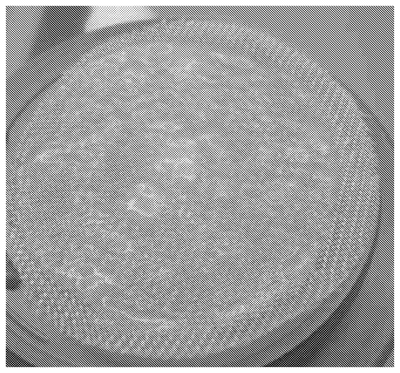 Patent US12551510 Figure 1 – Compositions of morselized umbilical cord and/or amniotic membrane and methods of use thereof